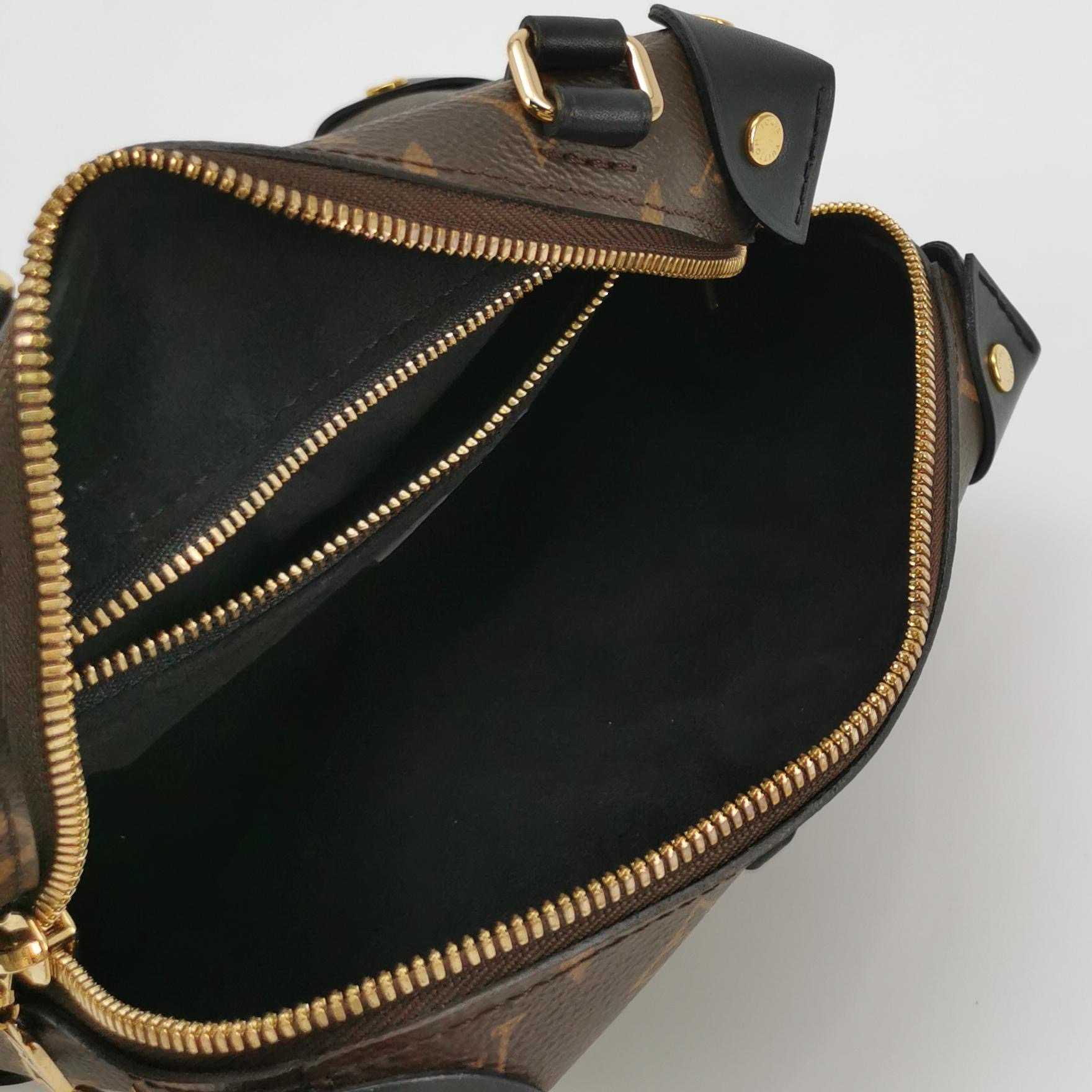 Louis Vuitton(LV) Petite Malle Souple Handbag Monogram Canvas with Leather — photo 7 of 17