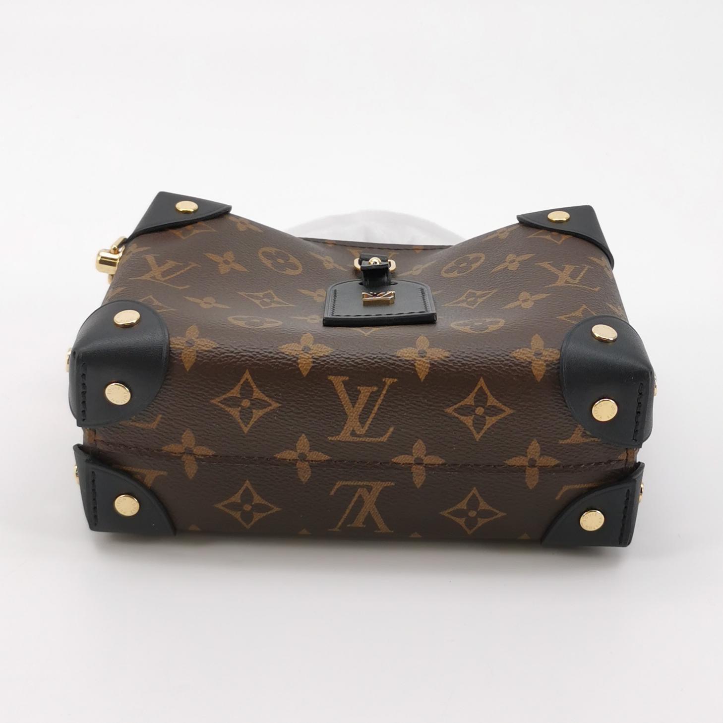 Louis Vuitton(LV) Petite Malle Souple Handbag Monogram Canvas with Leather — photo 6 of 16