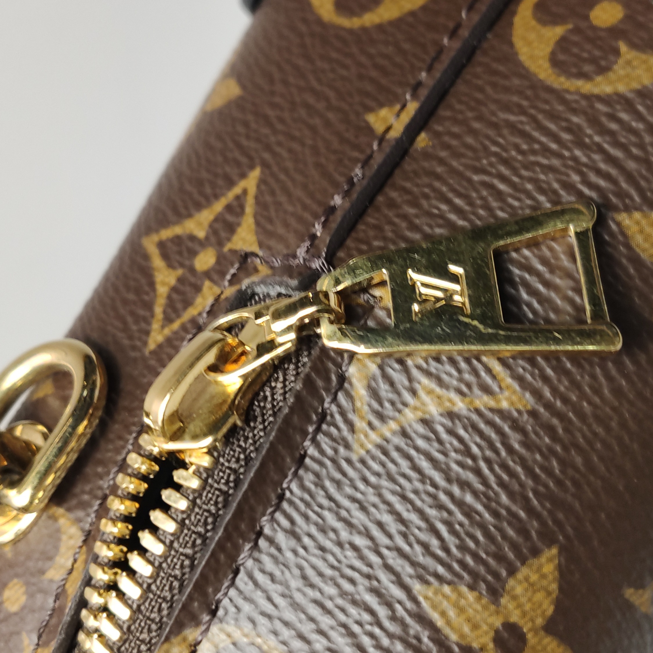 Louis Vuitton(LV) Petite Malle Souple Handbag Monogram Canvas with Leather — photo 12 of 16