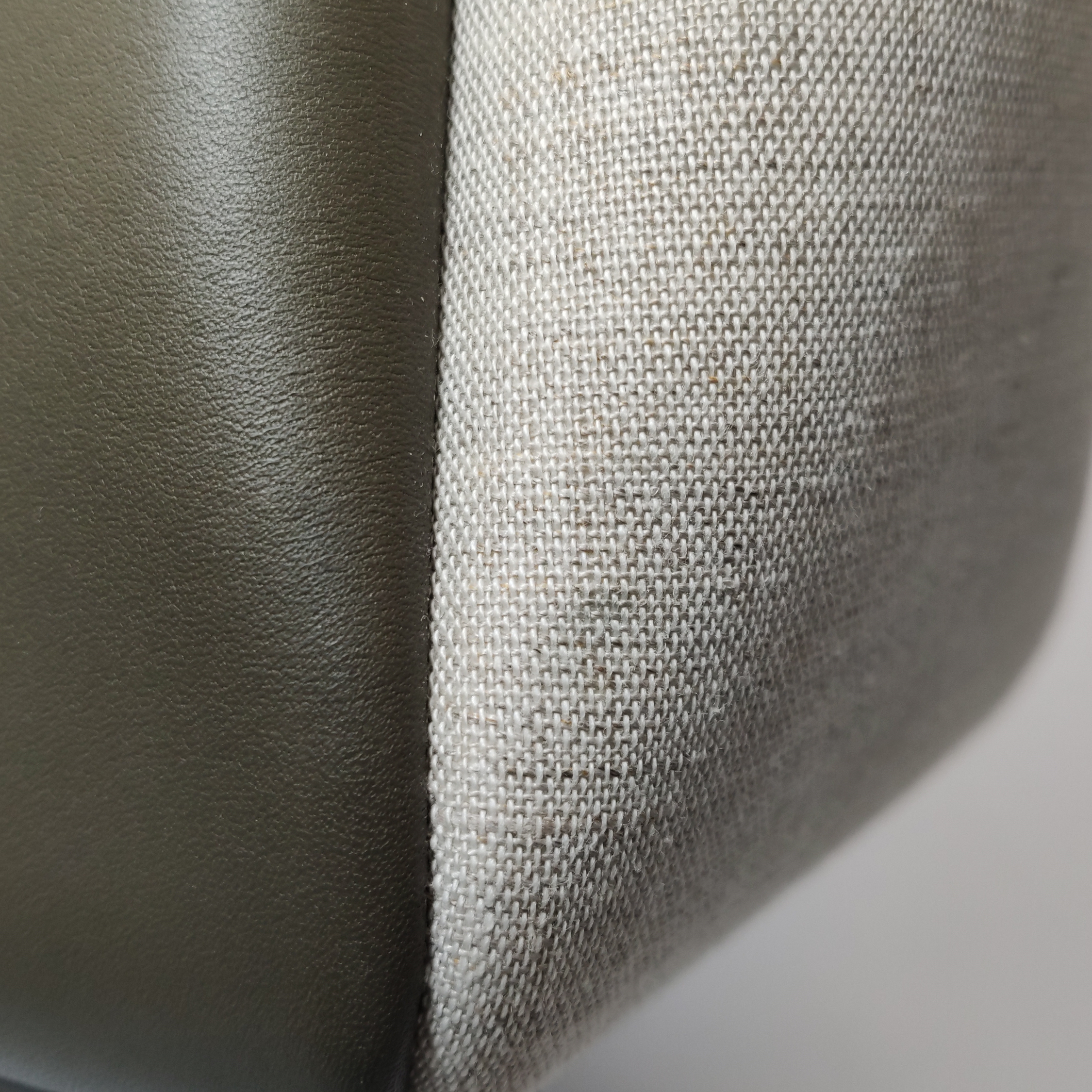 Loewe Lazo Bag Leather with Canvas Mini