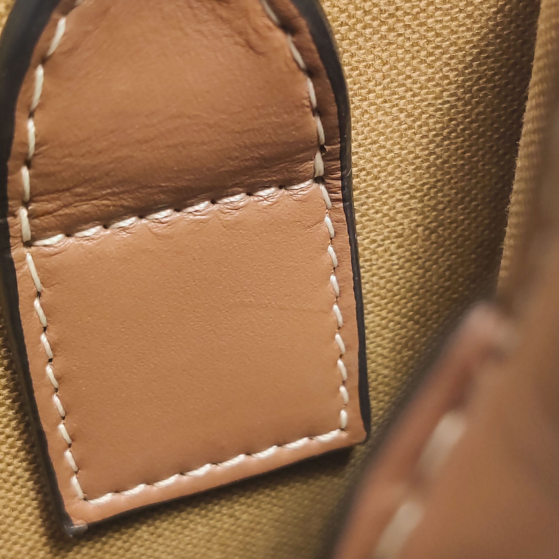 Celine Vertical Cabas Tote Triomphe Coated Canvas Mini — photo 12 of 12