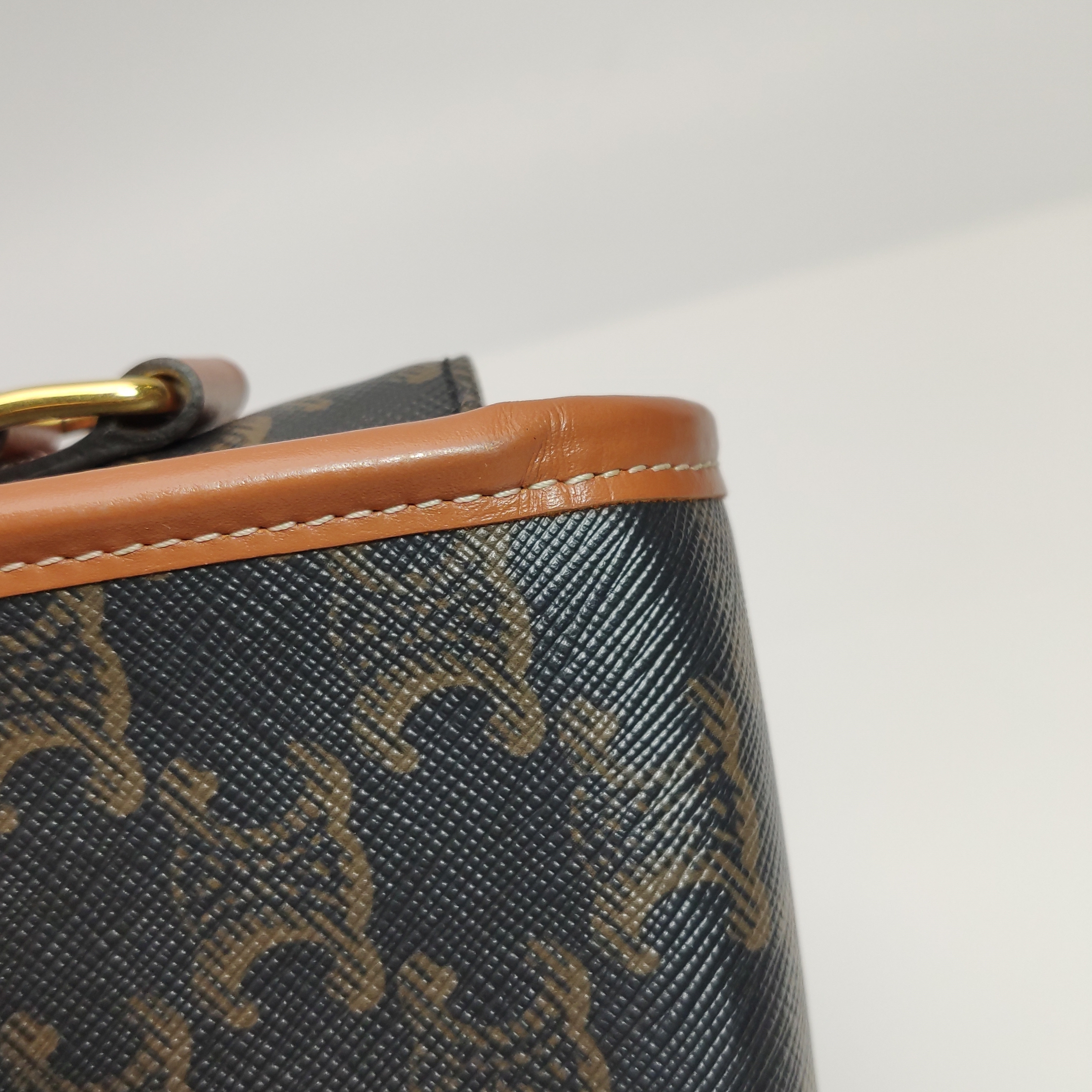 Celine Folco Bag Triomphe Coated Canvas Medium — photo 12 of 21
