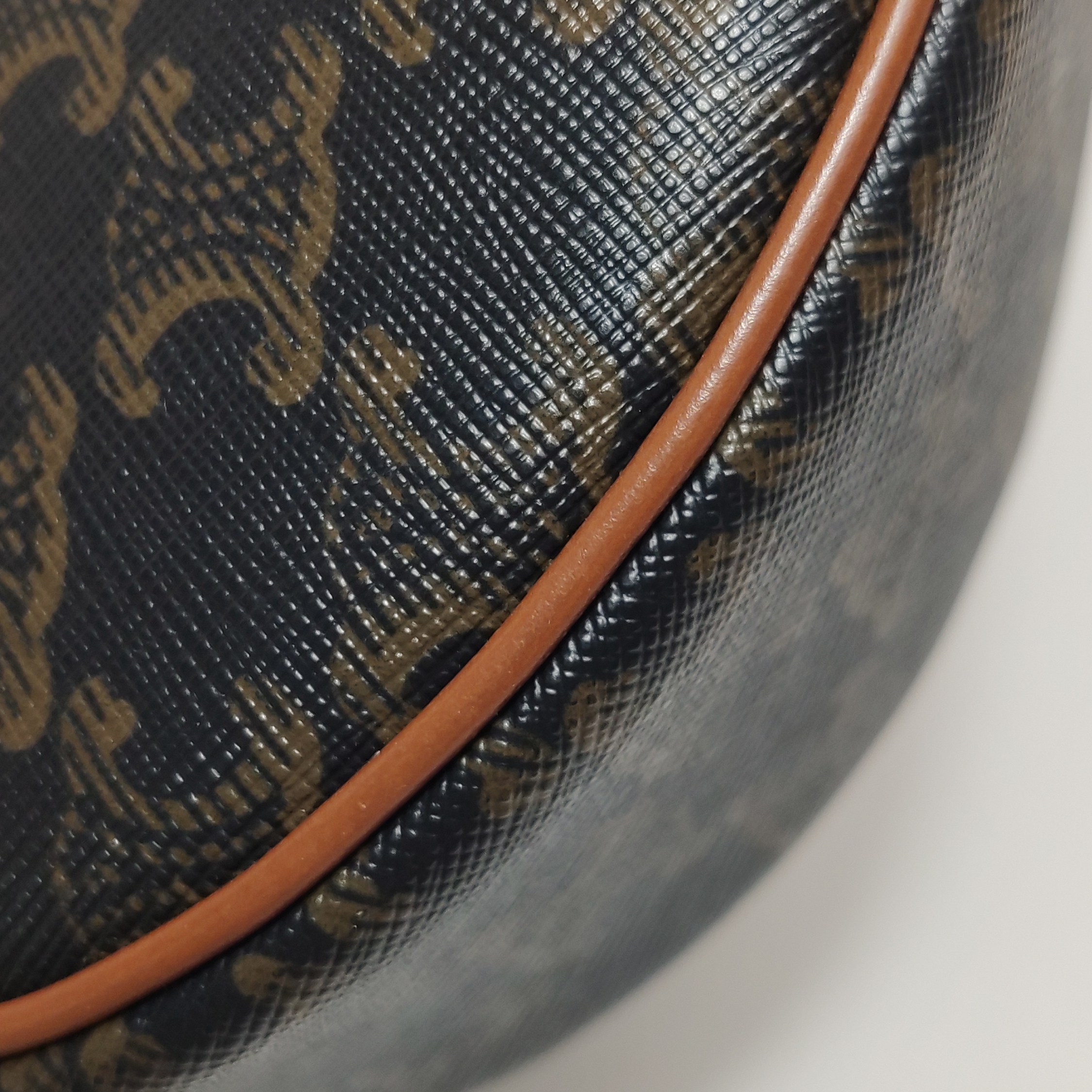 Celine Ava Bag Triomphe Coated Canvas — photo 18 of 19