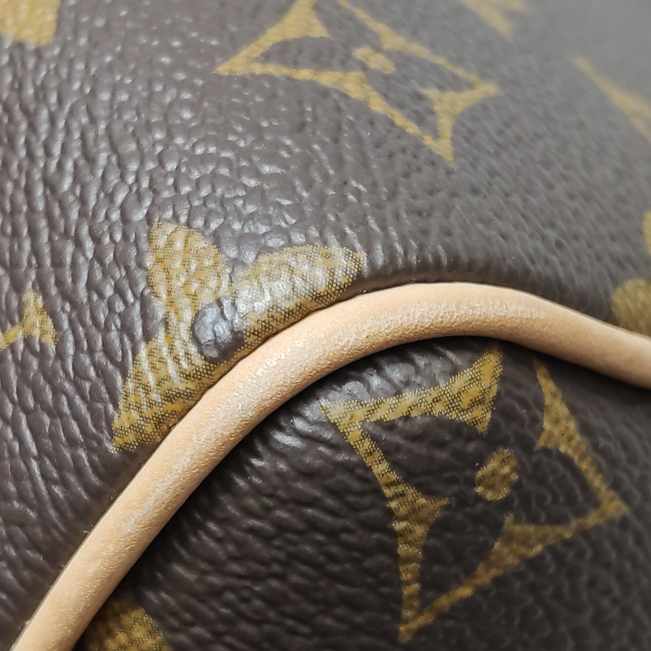  Louis Vuitton(LV) Speedy Bandouliere Bag Monogram Canvas 20 — photo 13 of 16
