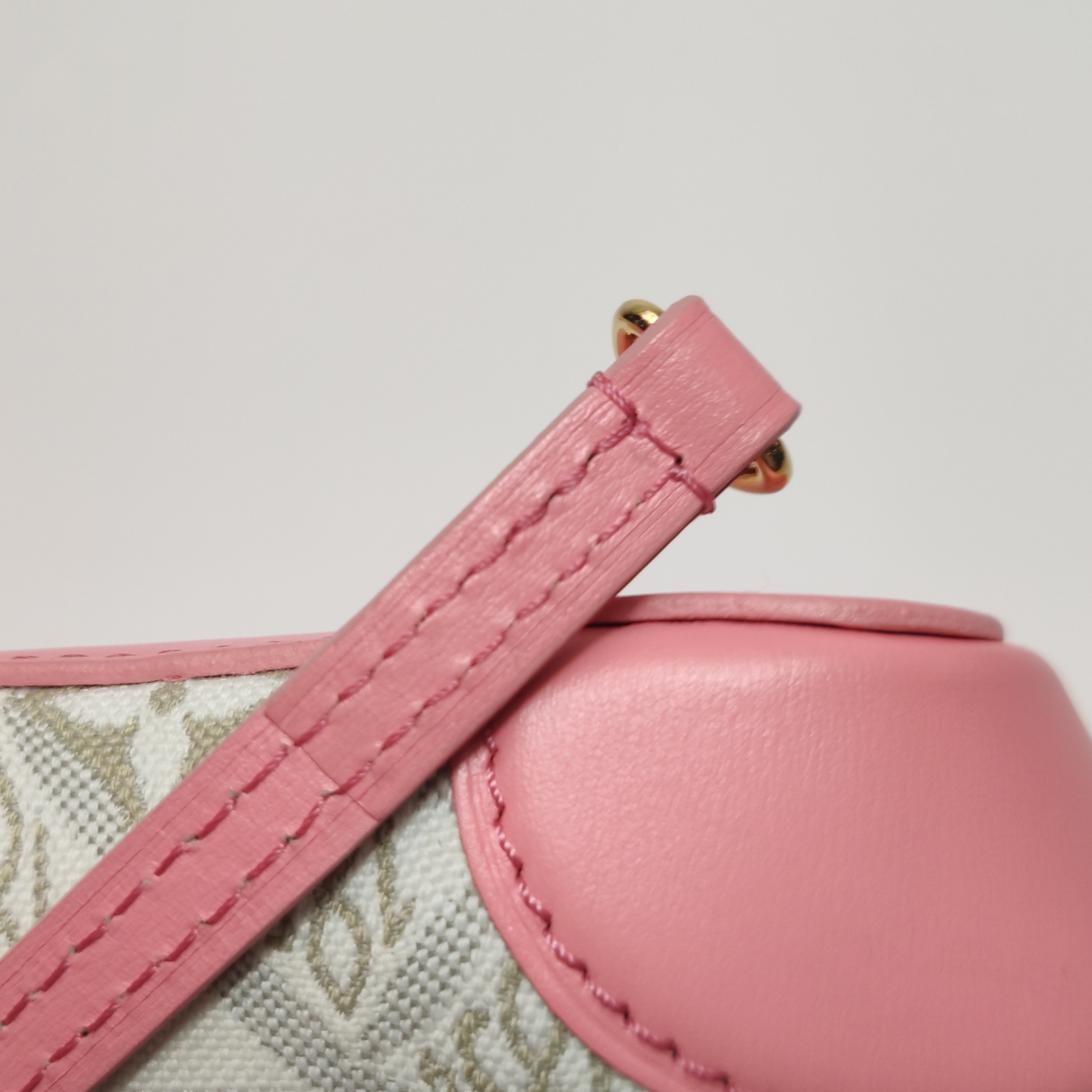 Louis Vuitton(LV) Noe Purse Limited Edition Since 1854 Monogram Jacquard — photo 13 of 15