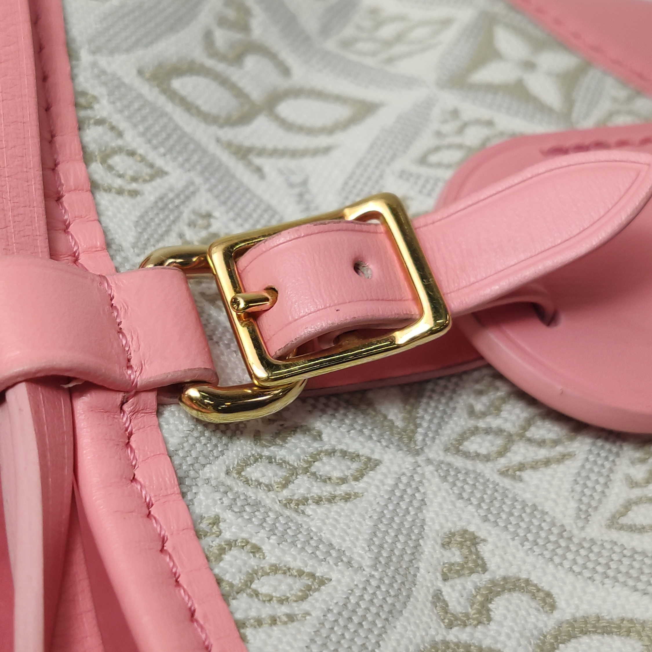 Louis Vuitton(LV) Noe Purse Limited Edition Since 1854 Monogram Jacquard — photo 14 of 15