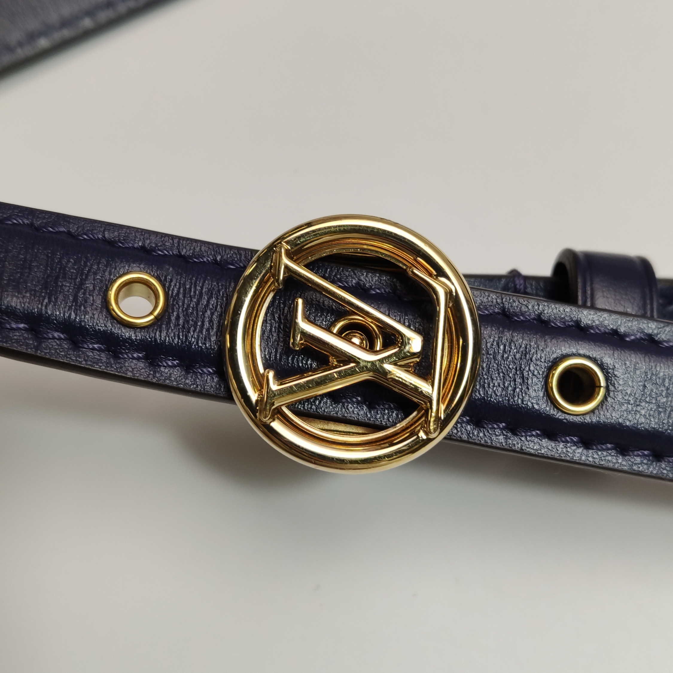 Louis Vuitton(LV) LV Pont 9 Bag Leather — photo 12 of 12