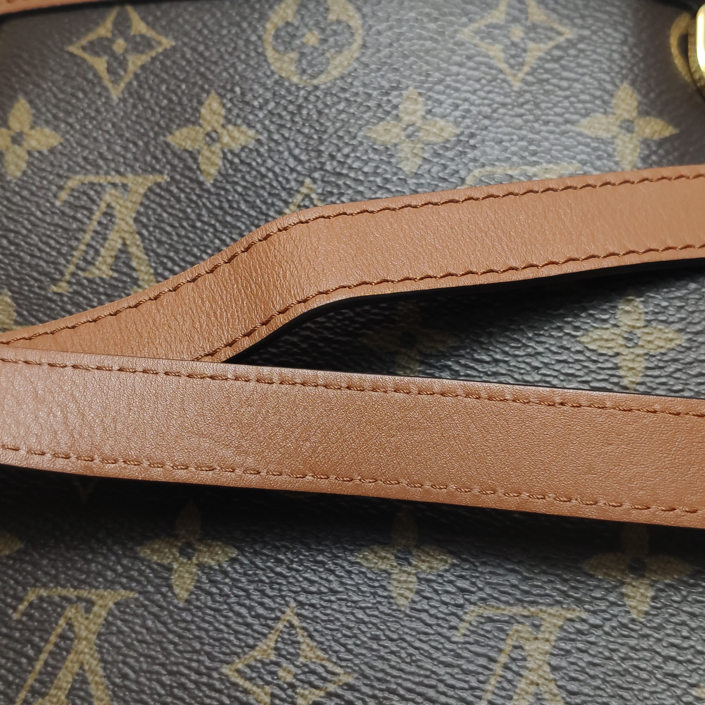 Louis Vuitton(LV) Dauphine Backpack Reverse Monogram Canvas PM — photo 14 of 15