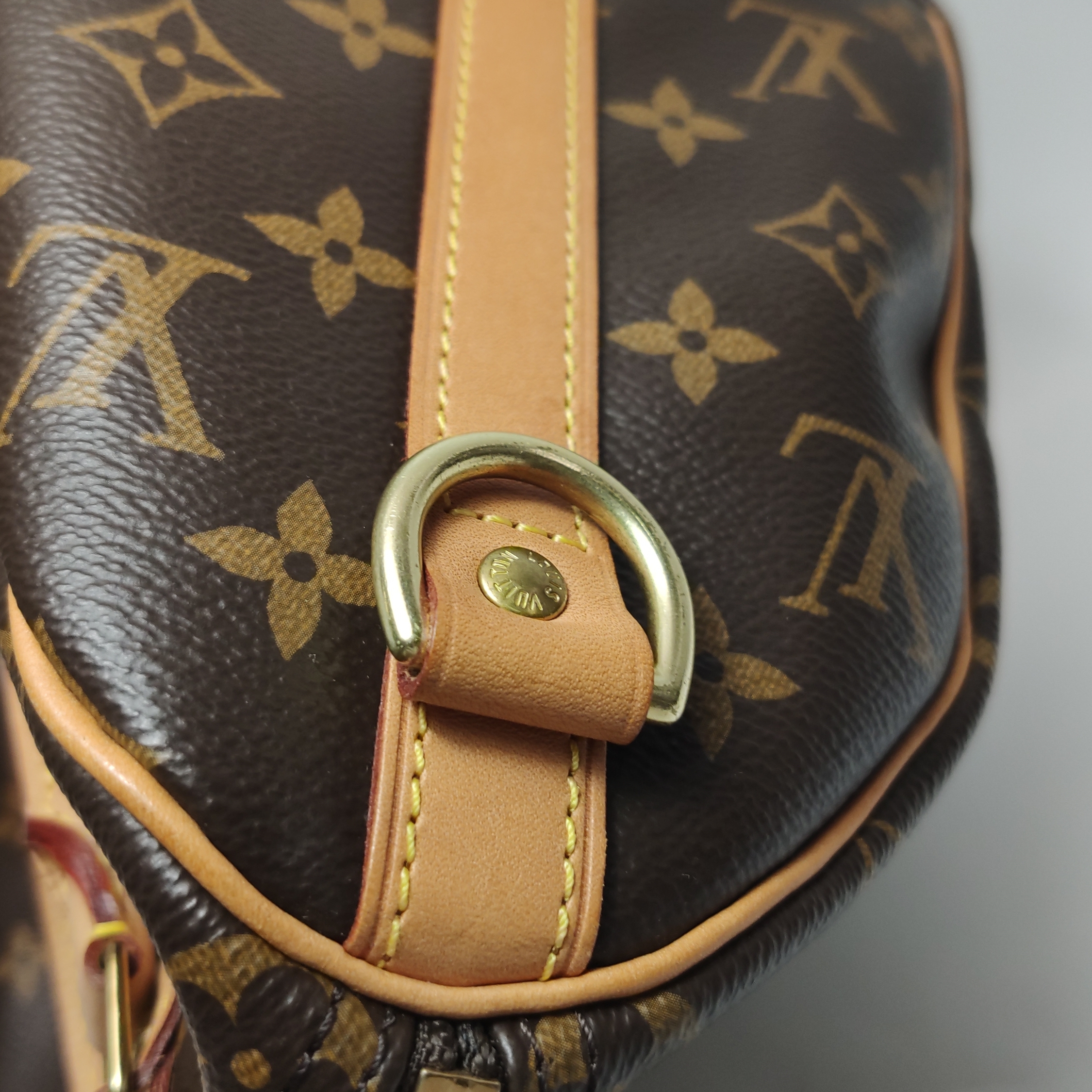 Louis Vuitton(LV) Speedy Bandouliere Bag Monogram Canvas 25 — photo 11 of 17