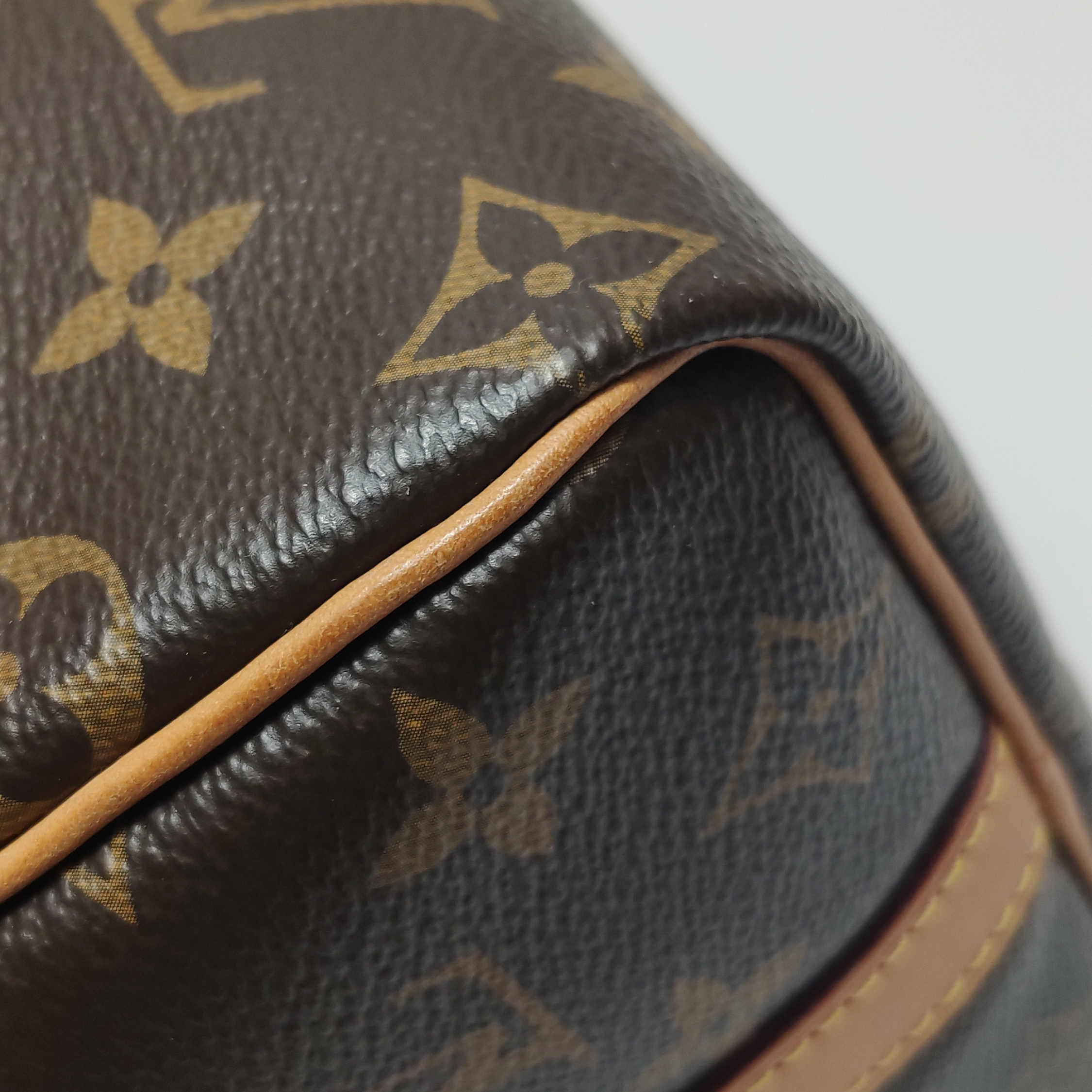 Louis Vuitton(LV) Speedy Bandouliere Bag Monogram Canvas 25 — photo 9 of 17