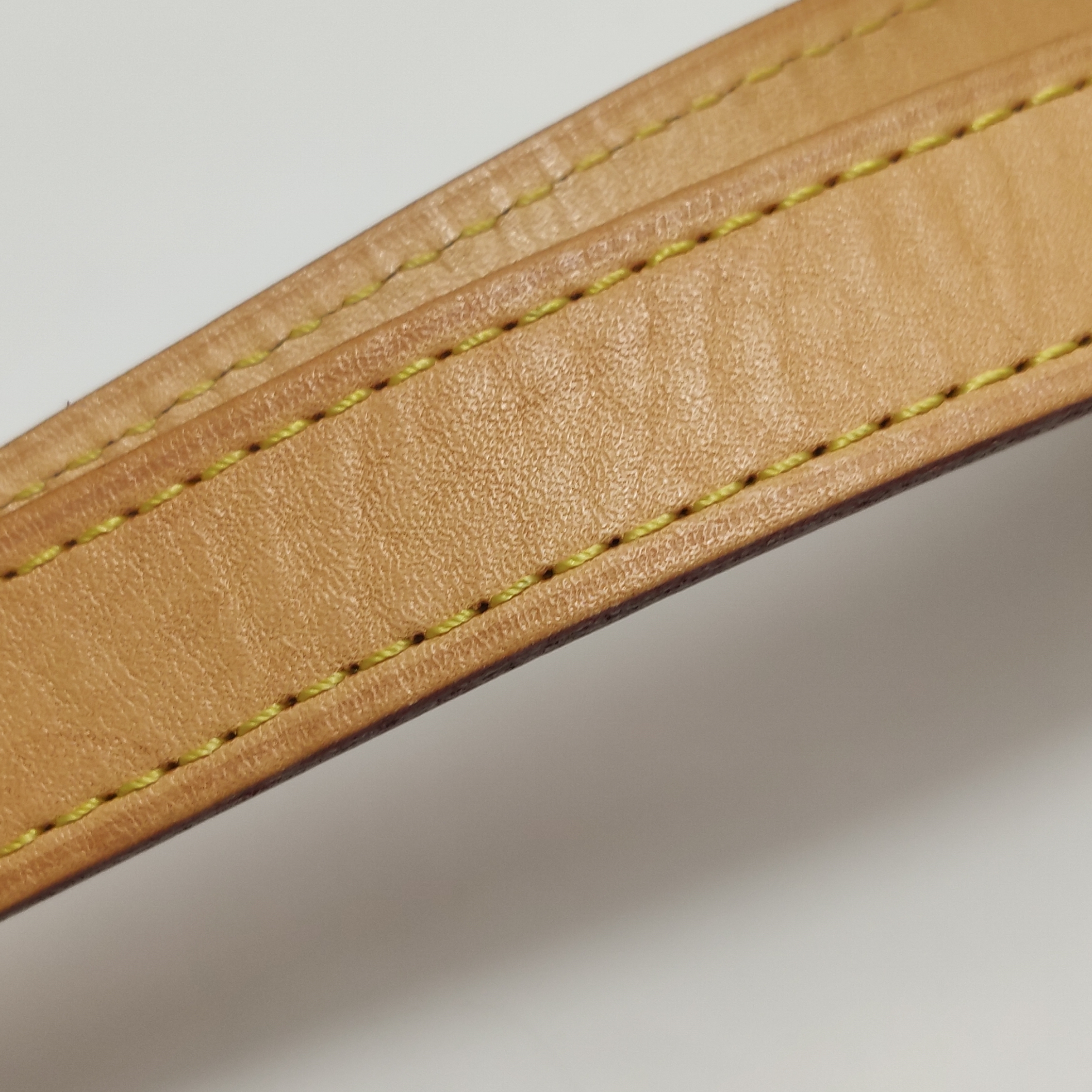 Louis Vuitton(LV) Speedy Bandouliere Bag Monogram Canvas 25 — photo 15 of 17