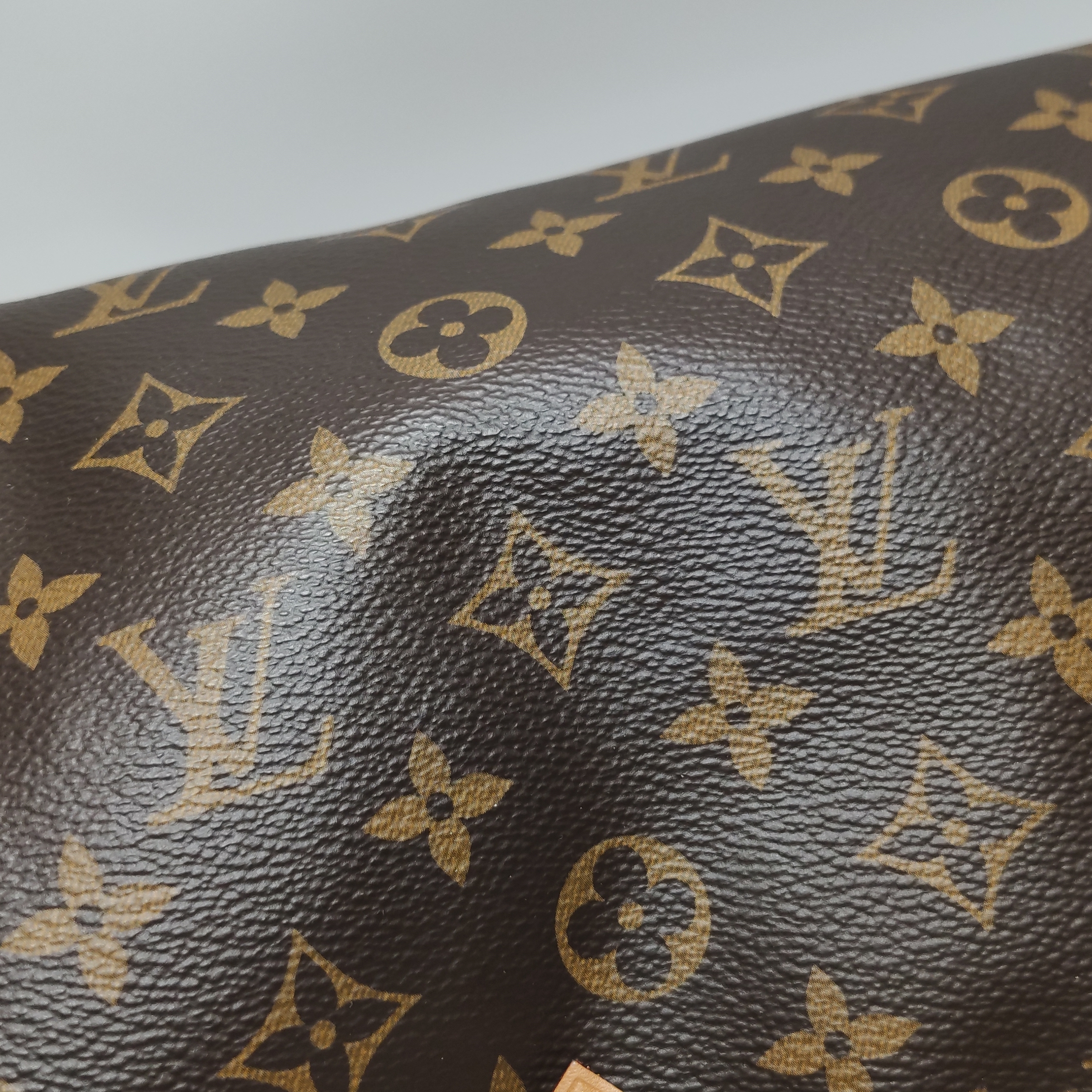 Louis Vuitton(LV) Speedy Bandouliere Bag Monogram Canvas 25 — photo 8 of 17