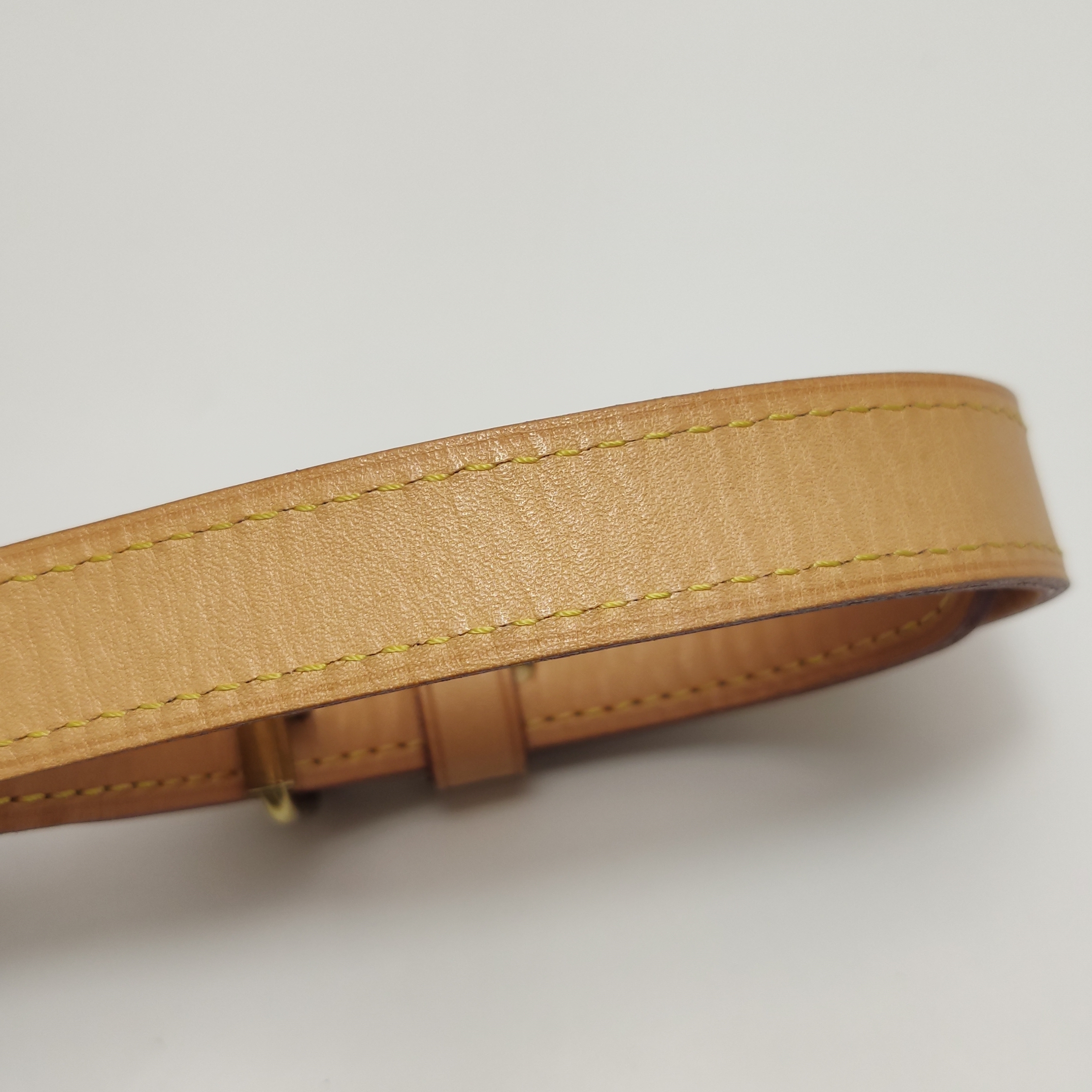 Louis Vuitton(LV) Speedy Bandouliere Bag Monogram Canvas 25 — photo 16 of 17