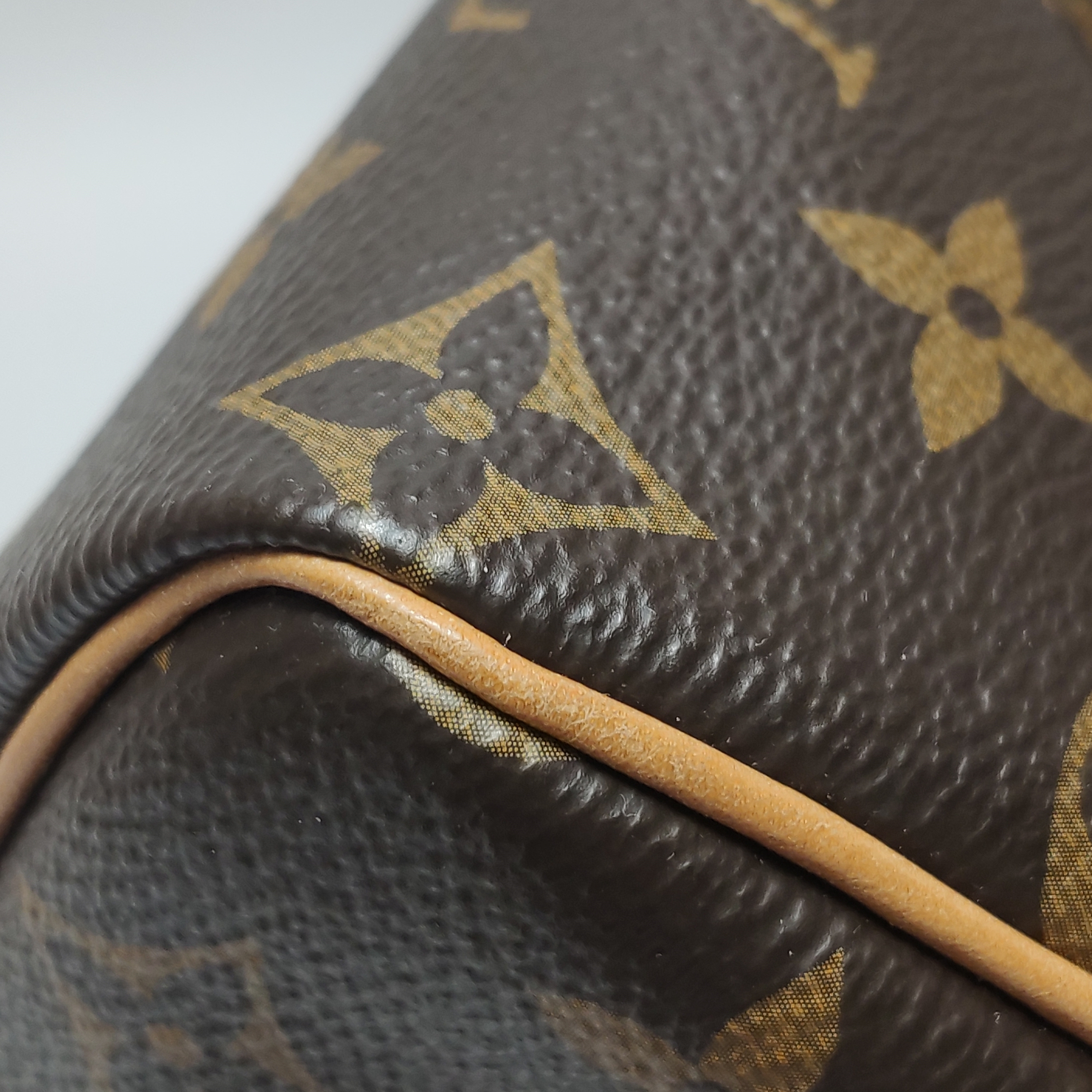 Louis Vuitton(LV) Speedy Bandouliere Bag Monogram Canvas 25 — photo 10 of 17
