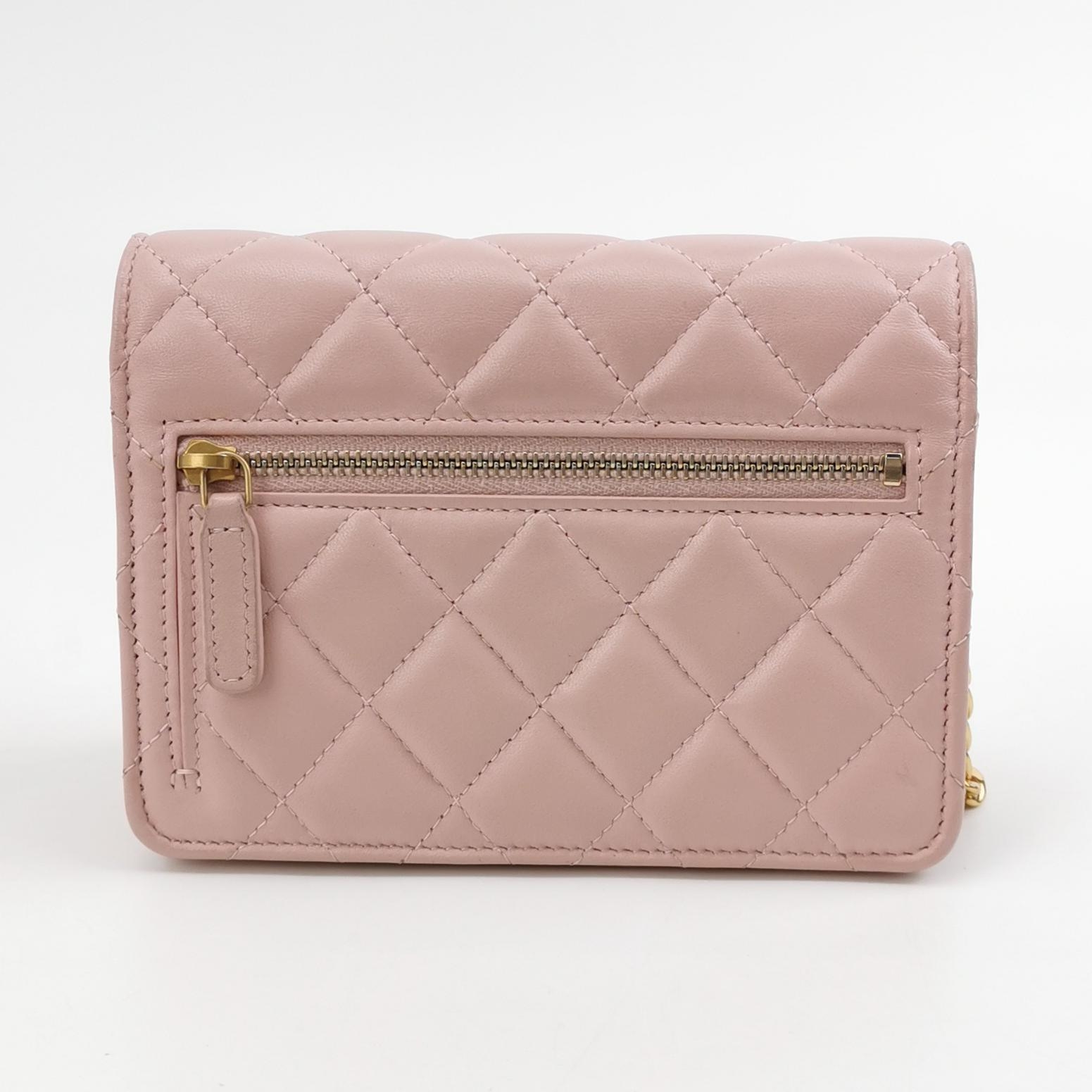 Chanel Wallet On Chain Quilted Lambskin Light  — photo 5 of 15