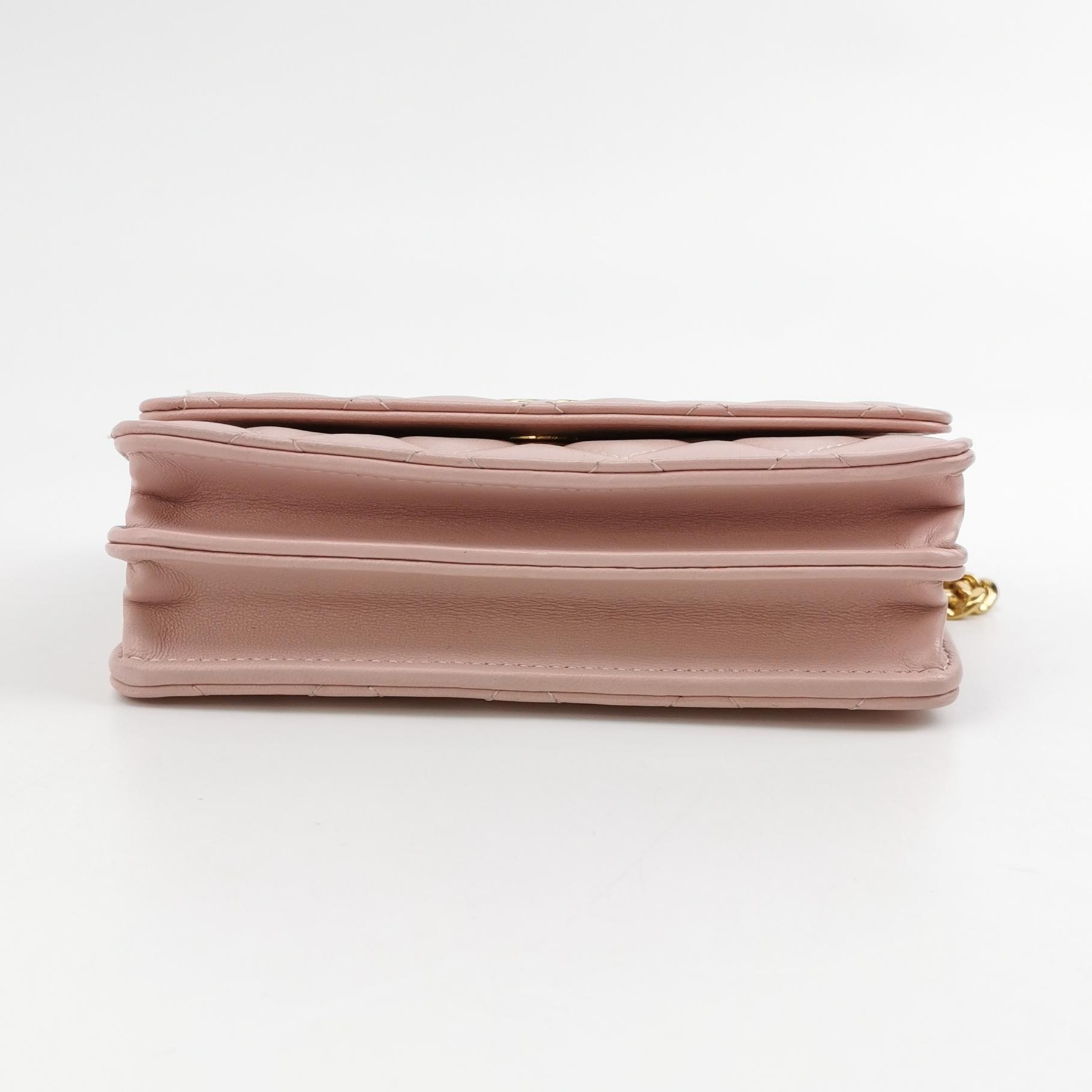 Chanel Wallet On Chain Quilted Lambskin Light  — photo 6 of 15