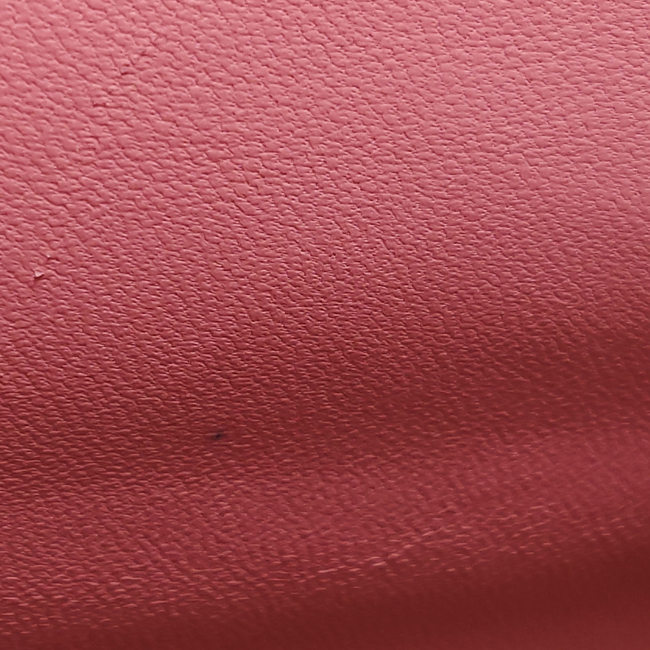 Christian Dior Lady Dior Chain Bag Lizard Mini — photo 14 of 16