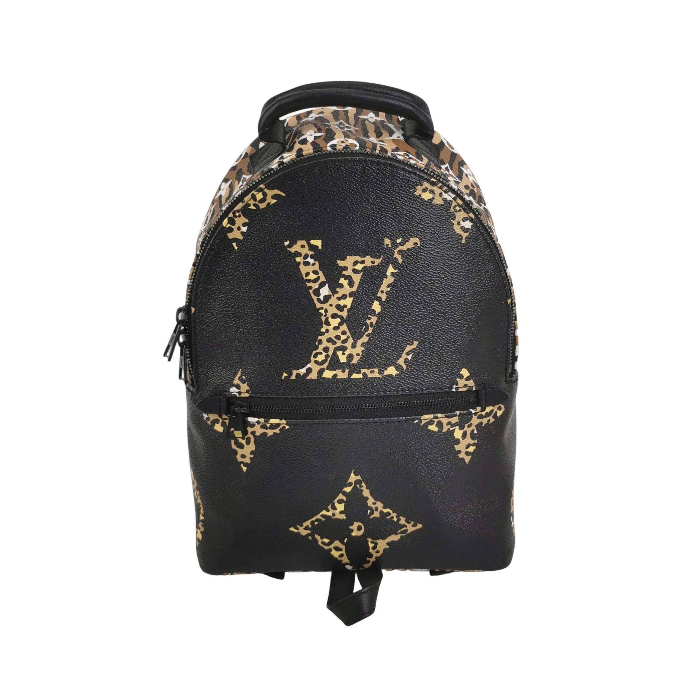 Louis Vuitton(LV) Palm Springs Backpack Limited Edition Jungle Monogram Giant PM — photo 1 of 13