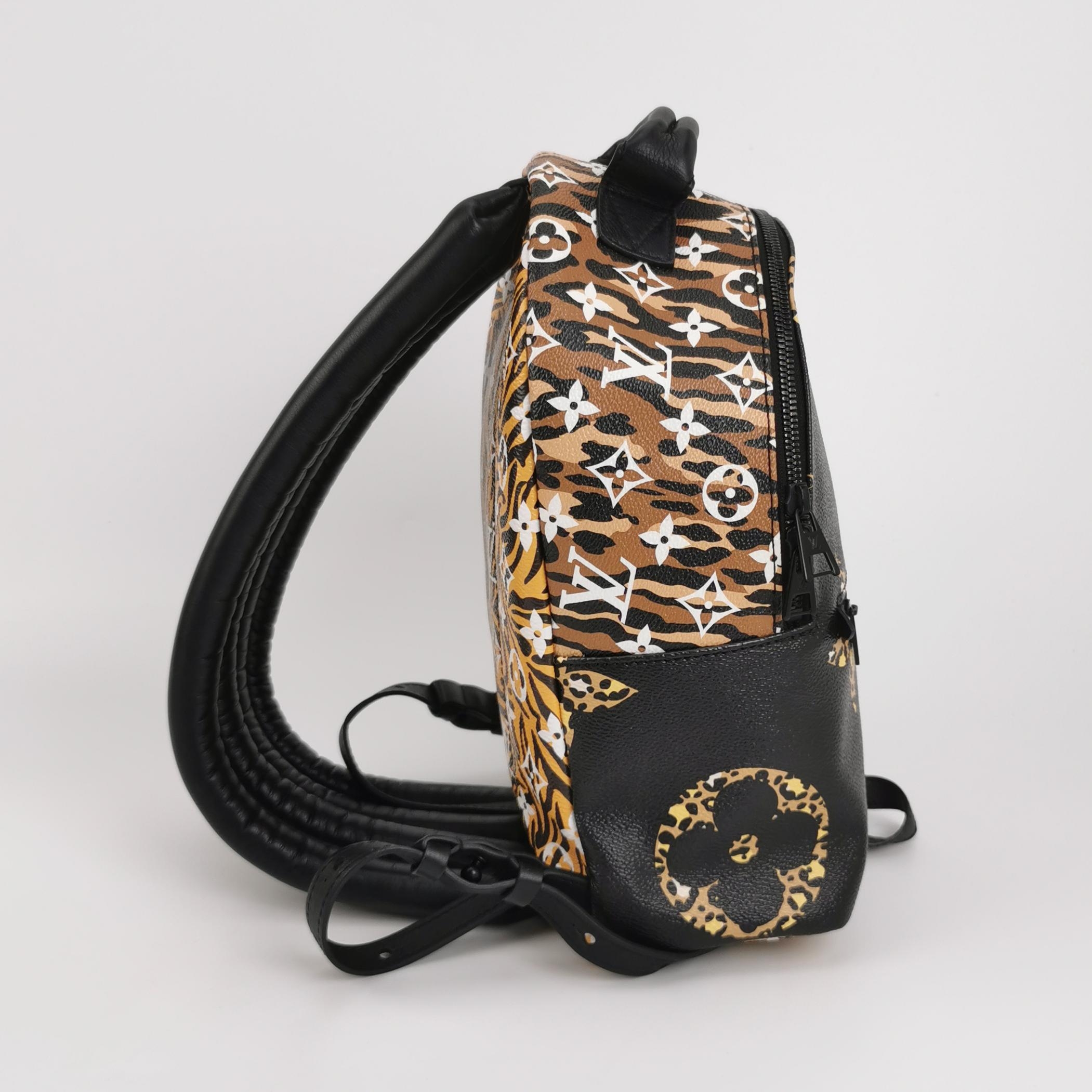 Louis Vuitton(LV) Palm Springs Backpack Limited Edition Jungle Monogram Giant PM — photo 4 of 13