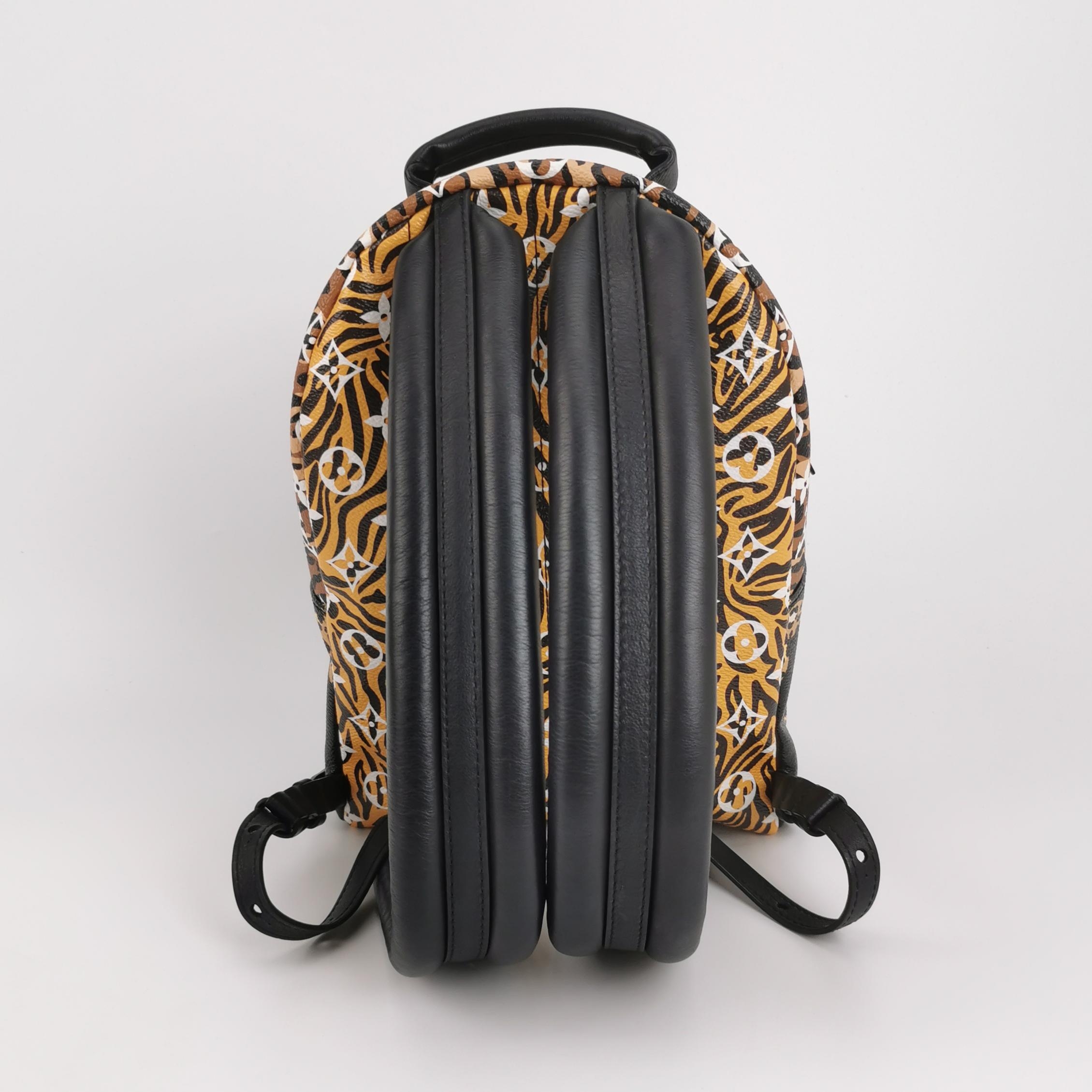 Louis Vuitton(LV) Palm Springs Backpack Limited Edition Jungle Monogram Giant PM — photo 5 of 13