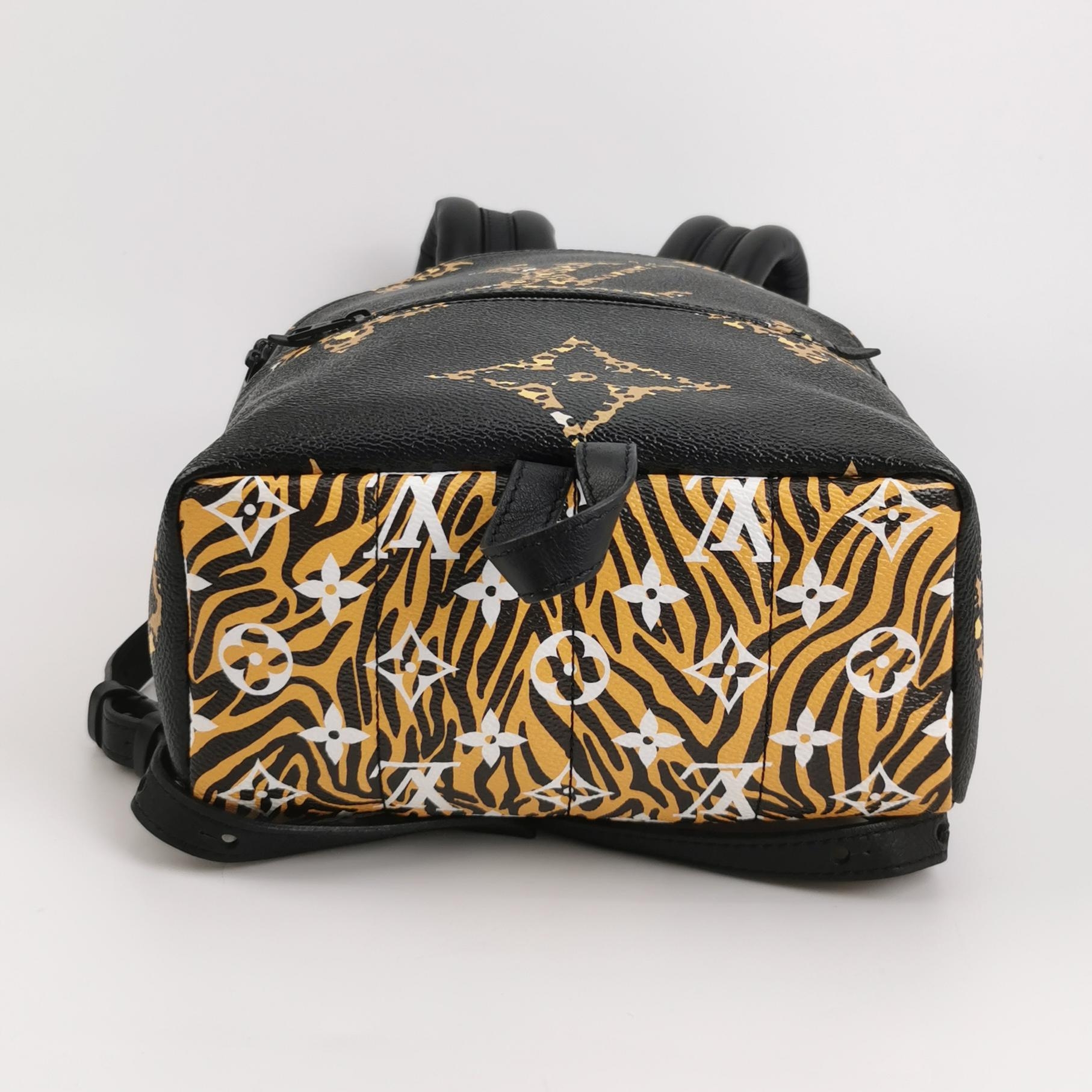 Louis Vuitton(LV) Palm Springs Backpack Limited Edition Jungle Monogram Giant PM — photo 6 of 13