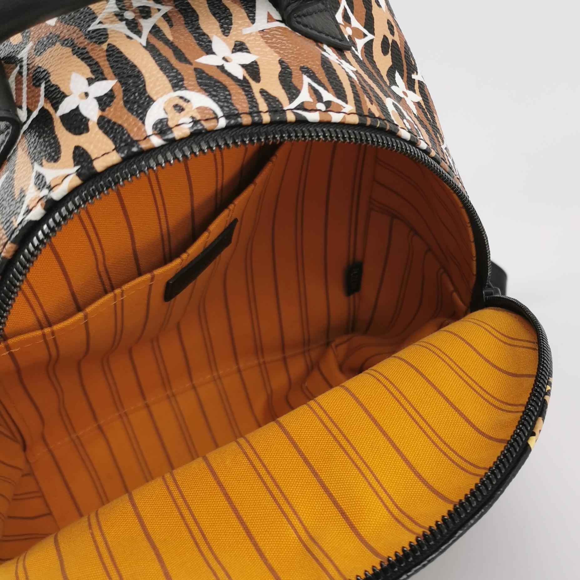 Louis Vuitton(LV) Palm Springs Backpack Limited Edition Jungle Monogram Giant PM — photo 7 of 13