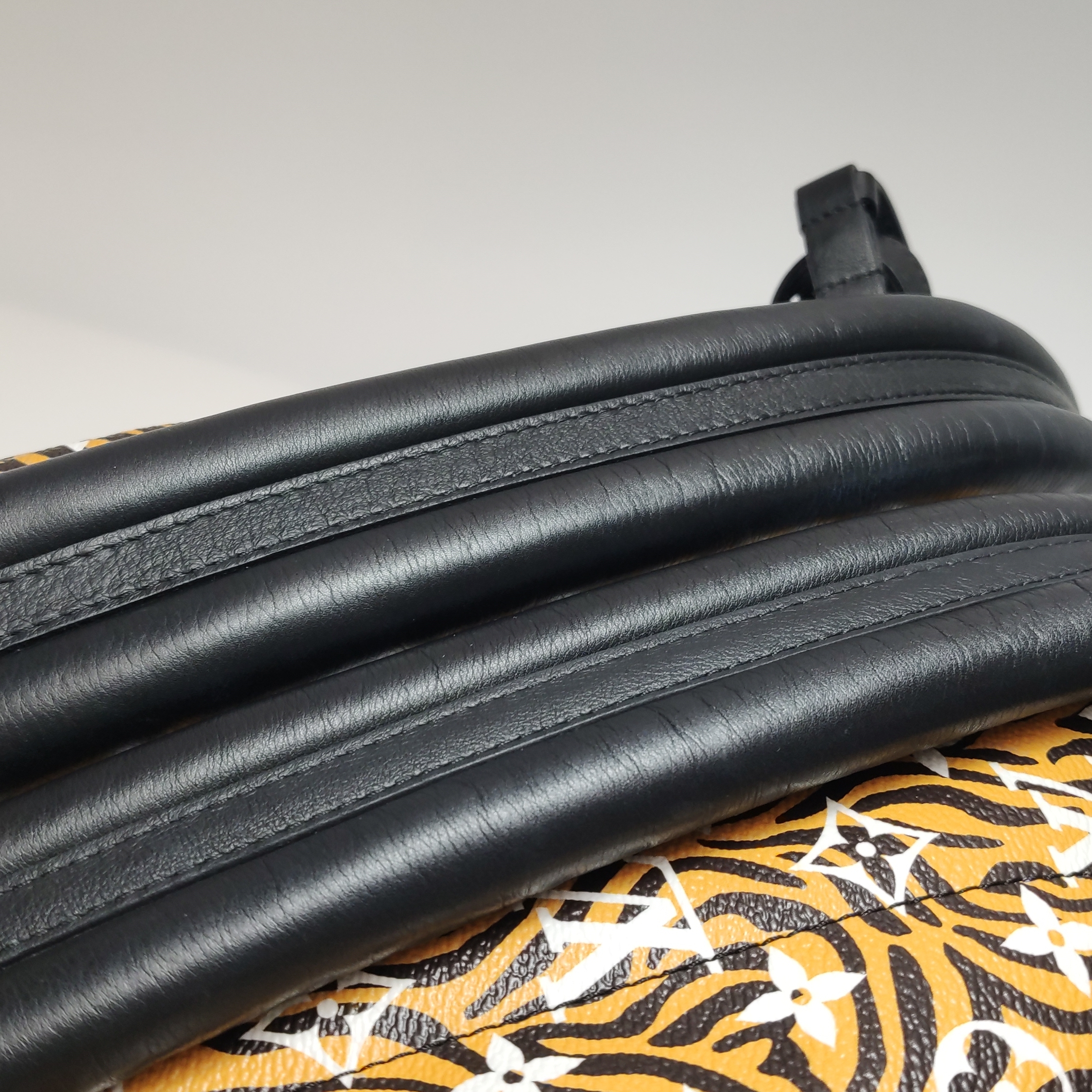 Louis Vuitton(LV) Palm Springs Backpack Limited Edition Jungle Monogram Giant PM — photo 9 of 13