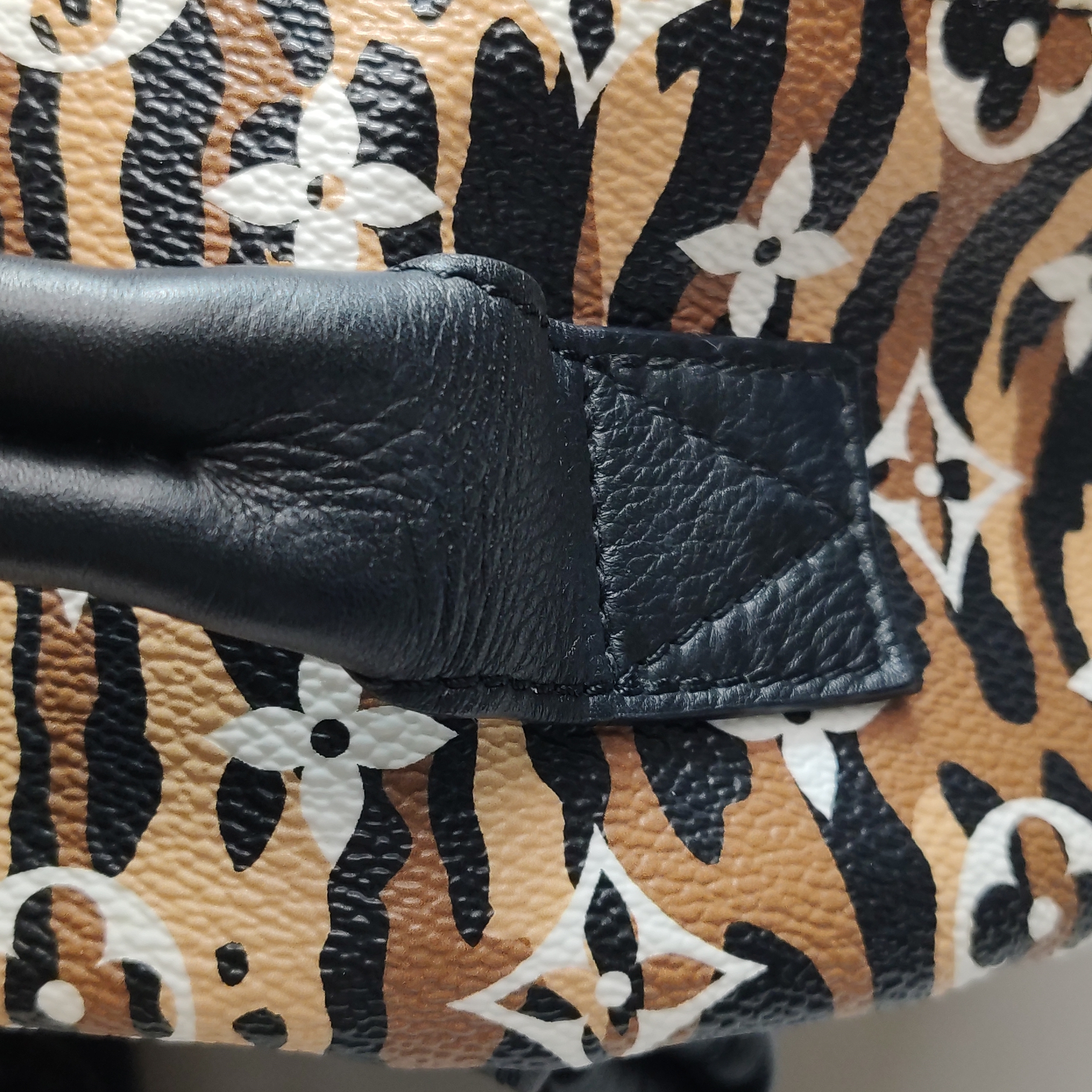 Louis Vuitton(LV) Palm Springs Backpack Limited Edition Jungle Monogram Giant PM — photo 10 of 13