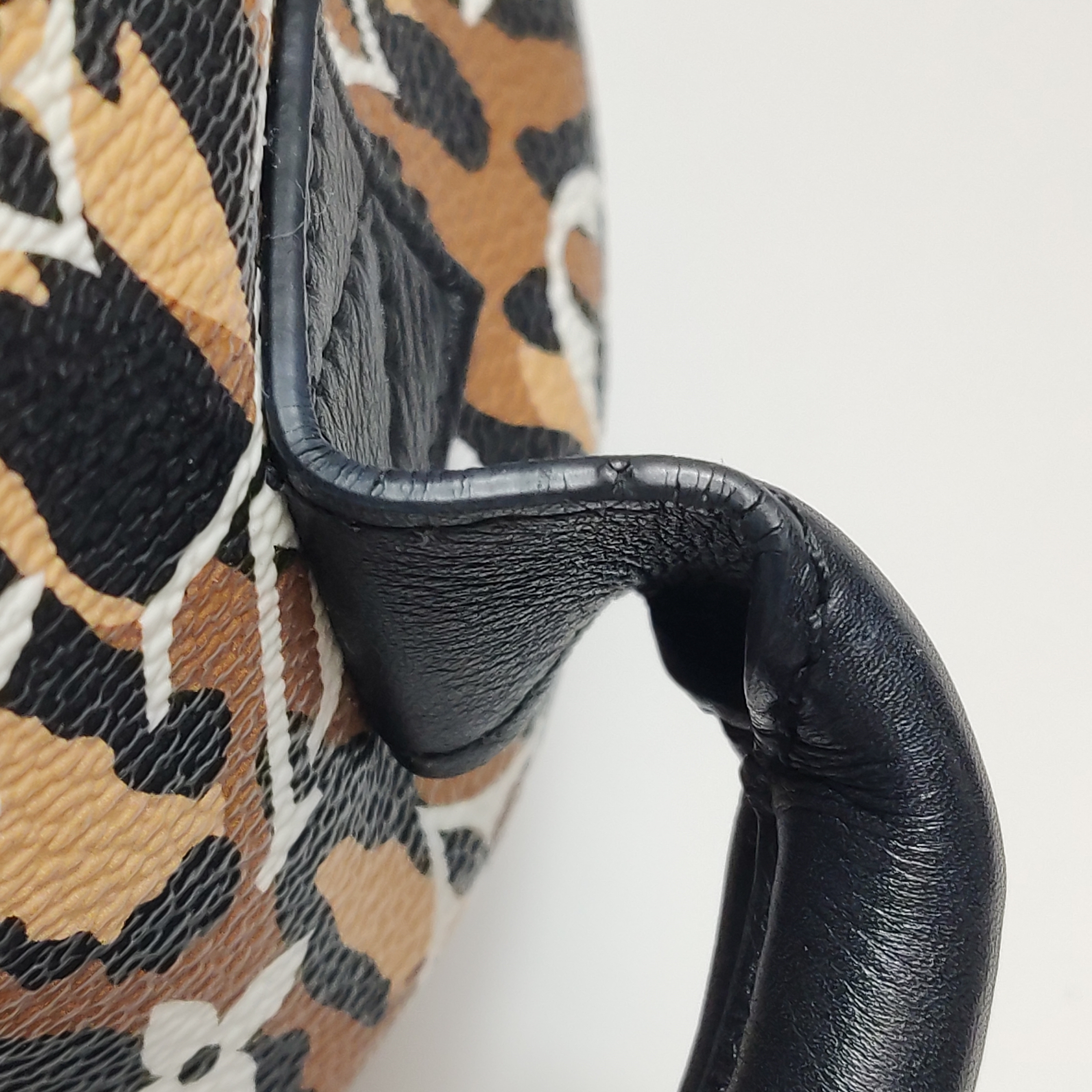 Louis Vuitton(LV) Palm Springs Backpack Limited Edition Jungle Monogram Giant PM — photo 11 of 13