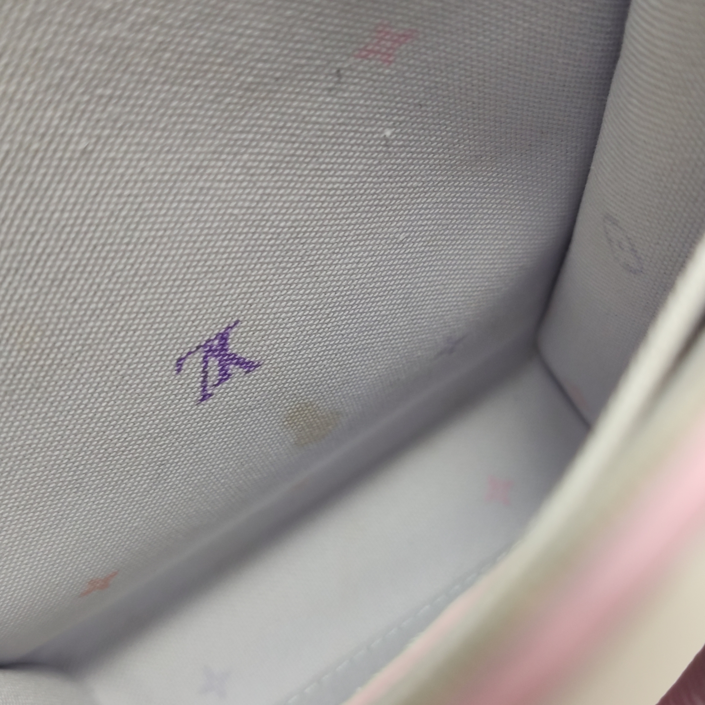 Louis Vuitton(LV) Petit Sac Plat Bag Spring in the City Monogram Giant Canvas — photo 11 of 15