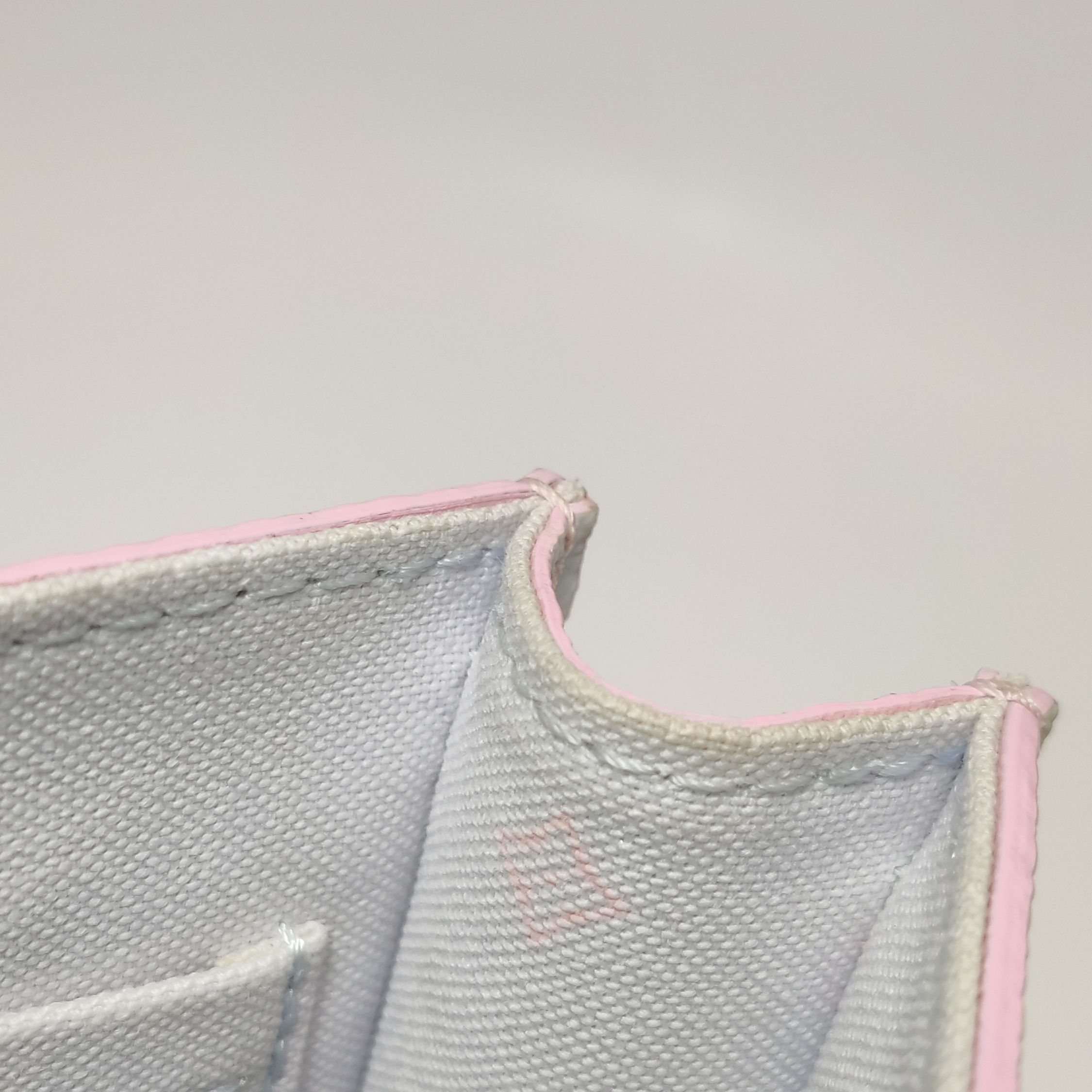 Louis Vuitton(LV) Petit Sac Plat Bag Spring in the City Monogram Giant Canvas — photo 12 of 15