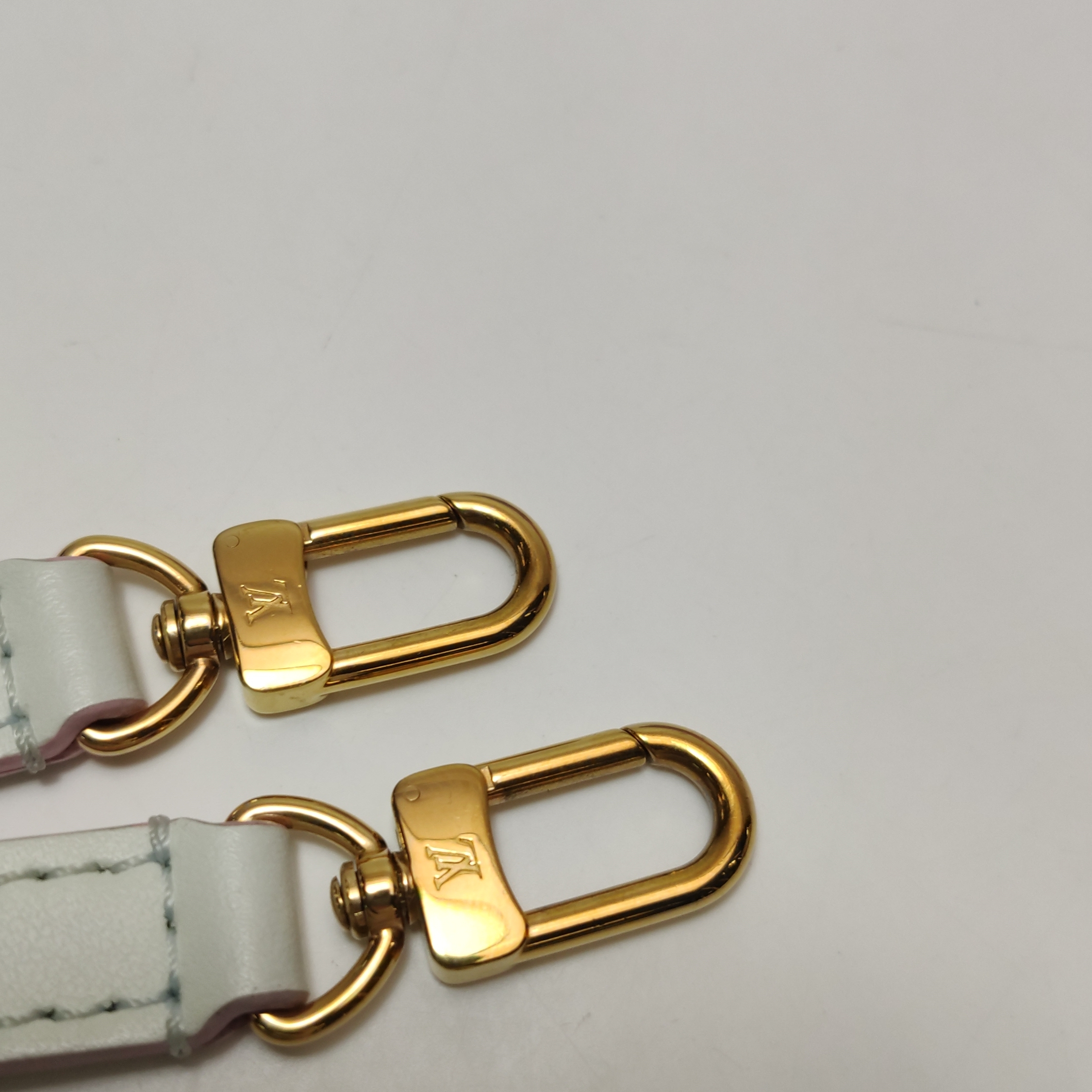Louis Vuitton(LV) Petit Sac Plat Bag Spring in the City Monogram Giant Canvas — photo 15 of 15