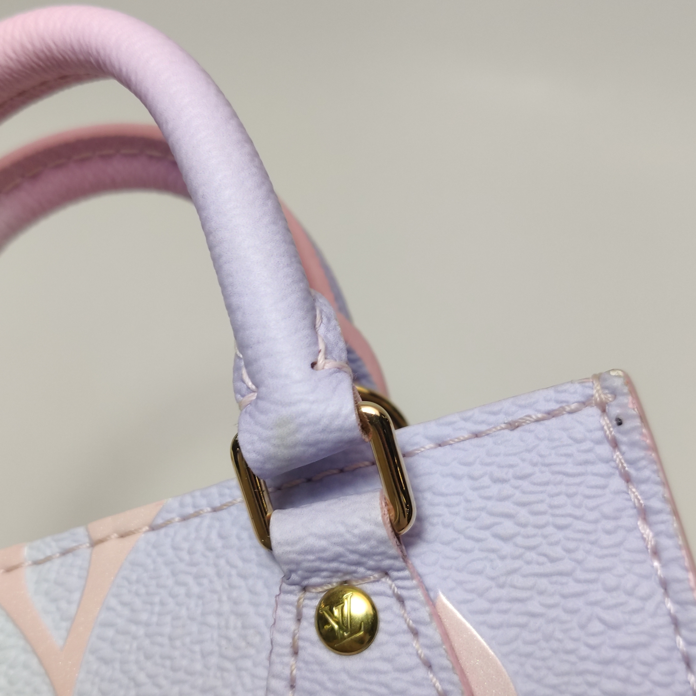 Louis Vuitton(LV) Petit Sac Plat Bag Spring in the City Monogram Giant Canvas — photo 13 of 15