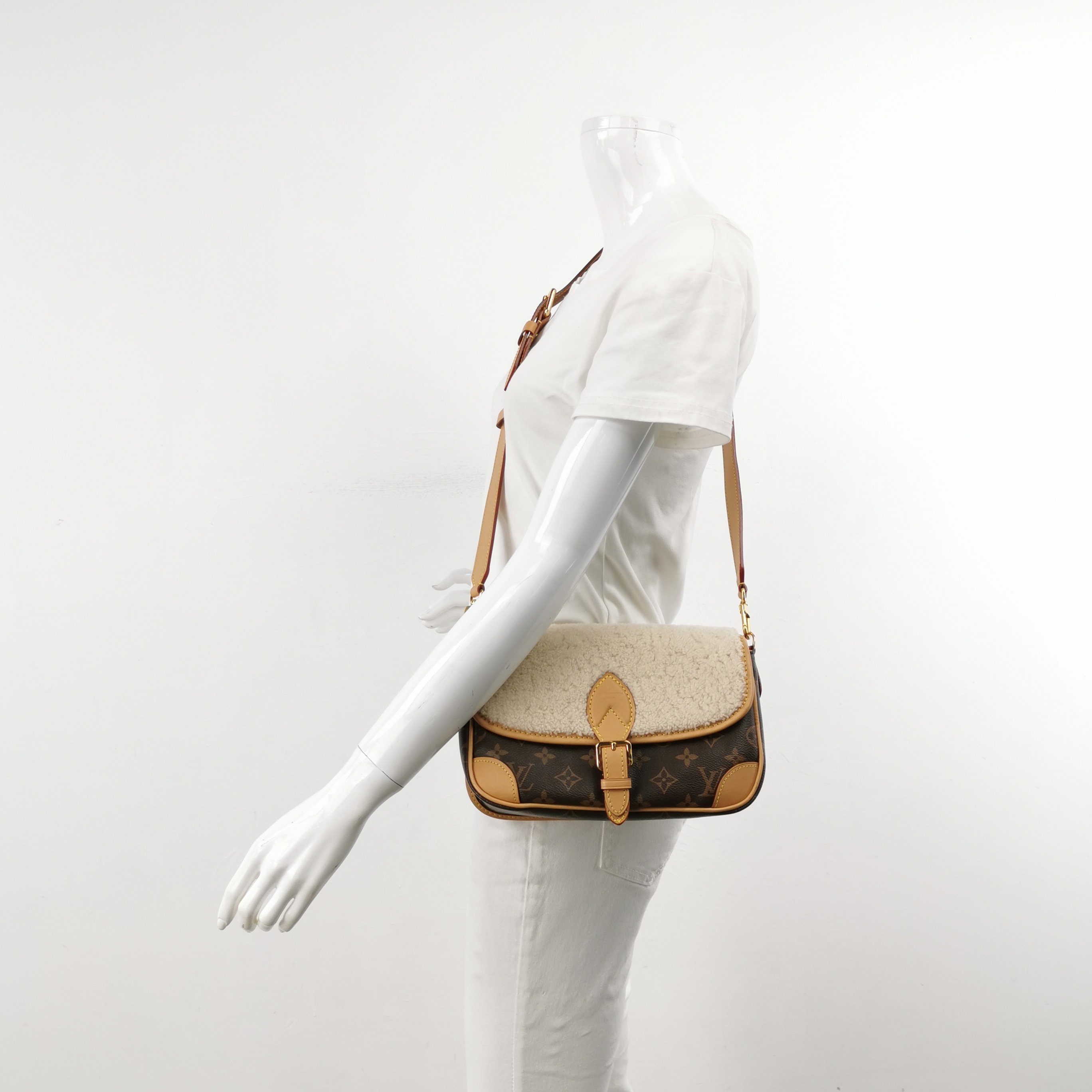 Louis Vuitton(LV) Diane NM Handbag Monogram Canvas — alternate view