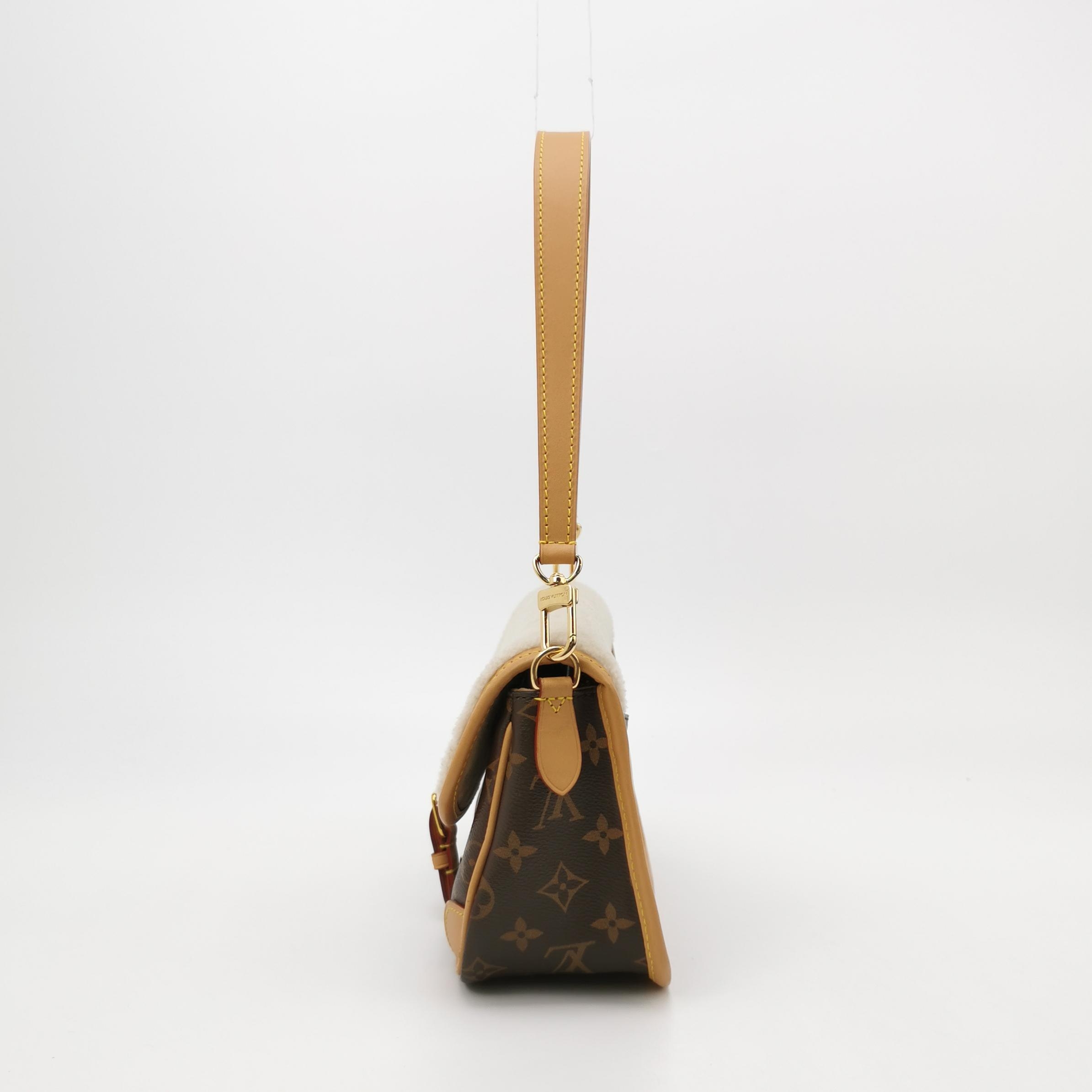 Louis Vuitton(LV) Diane NM Handbag Monogram Canvas — photo 4 of 17