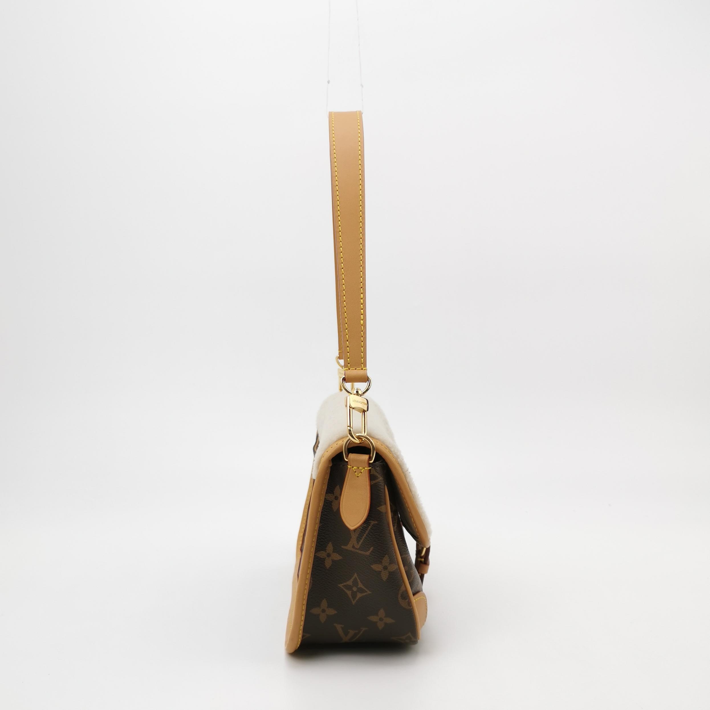 Louis Vuitton(LV) Diane NM Handbag Monogram Canvas — photo 3 of 17