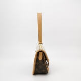 Louis Vuitton(LV) Diane NM Handbag Monogram Canvas — thumbnail 3