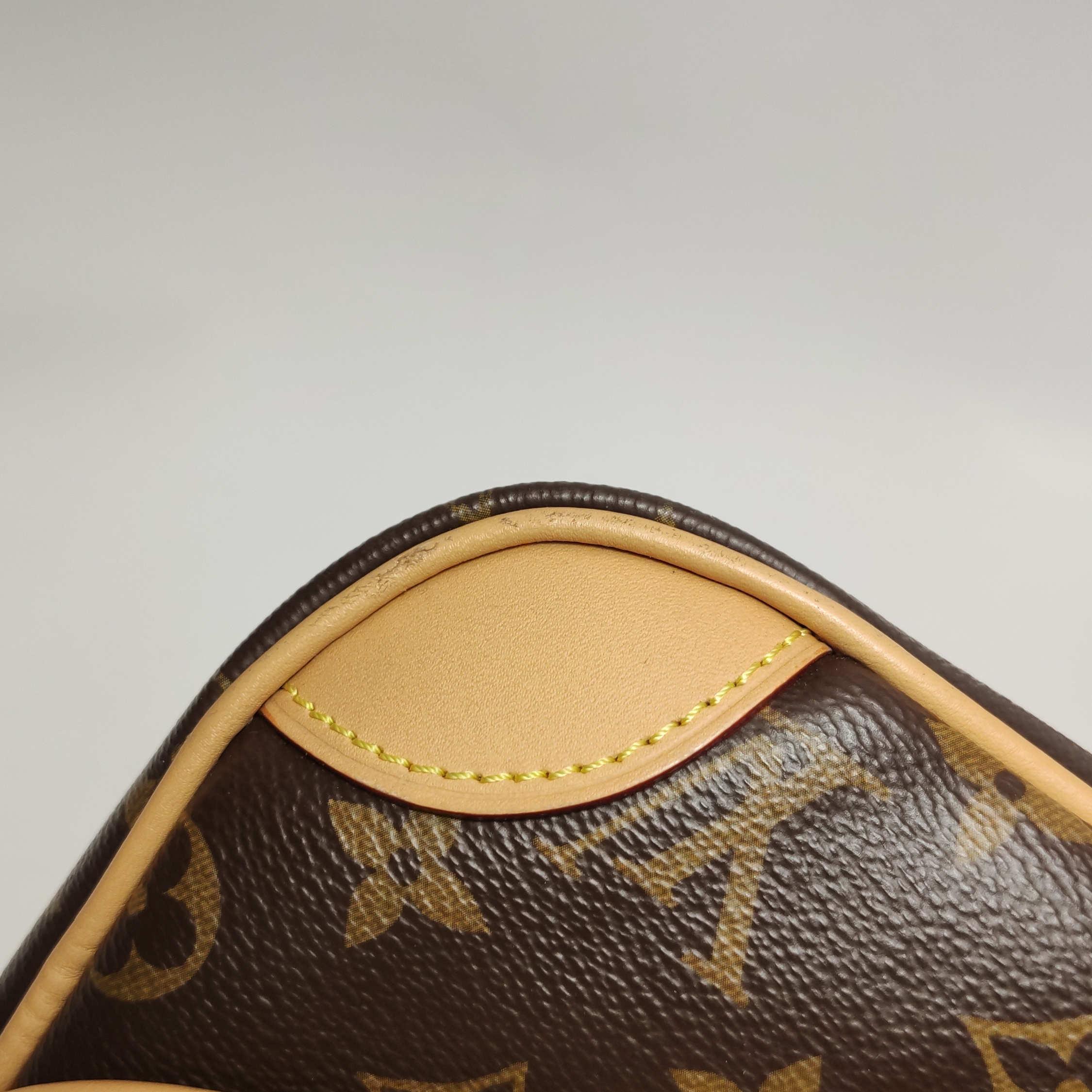 Louis Vuitton(LV) Diane NM Handbag Monogram Canvas — photo 14 of 17