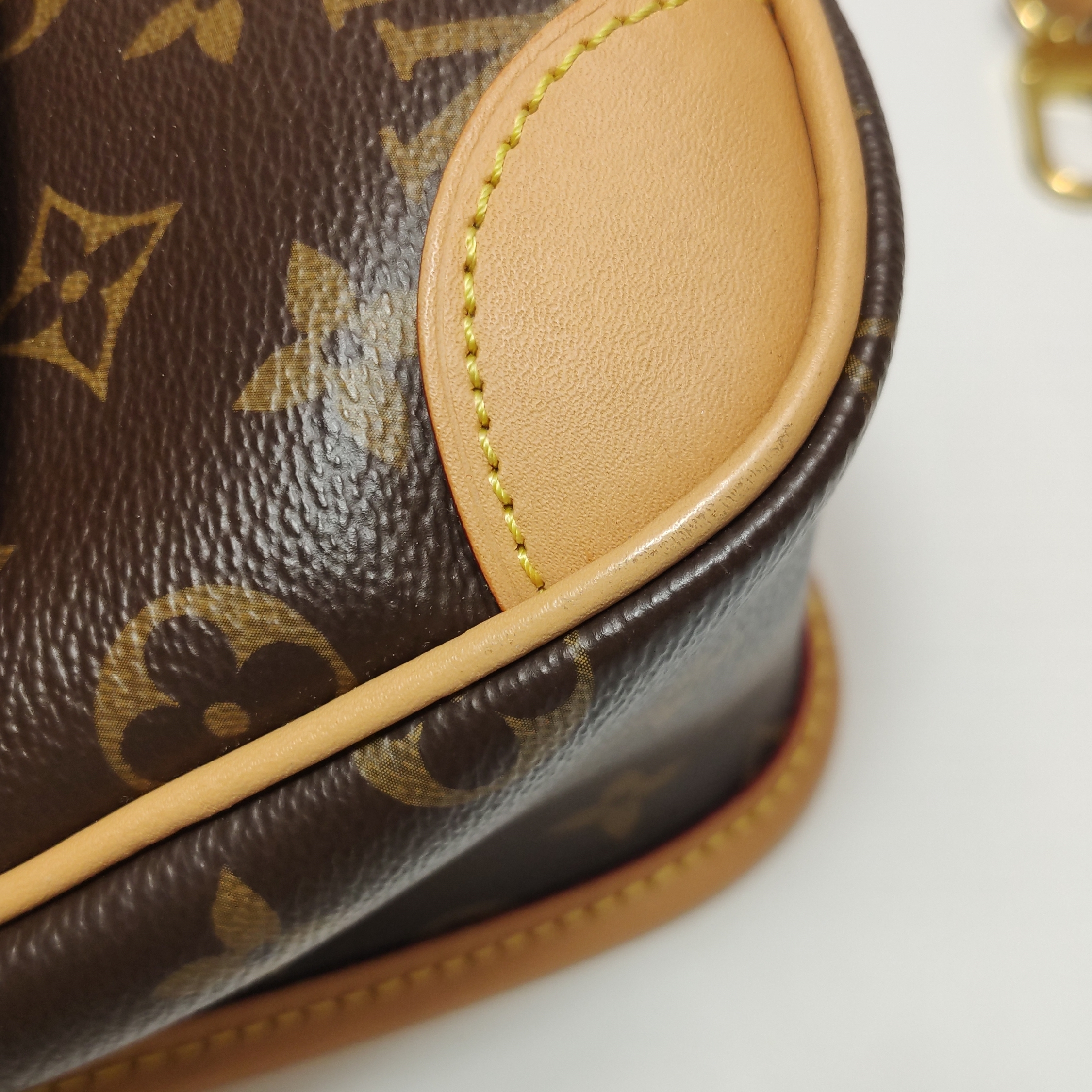 Louis Vuitton(LV) Diane NM Handbag Monogram Canvas — photo 13 of 17