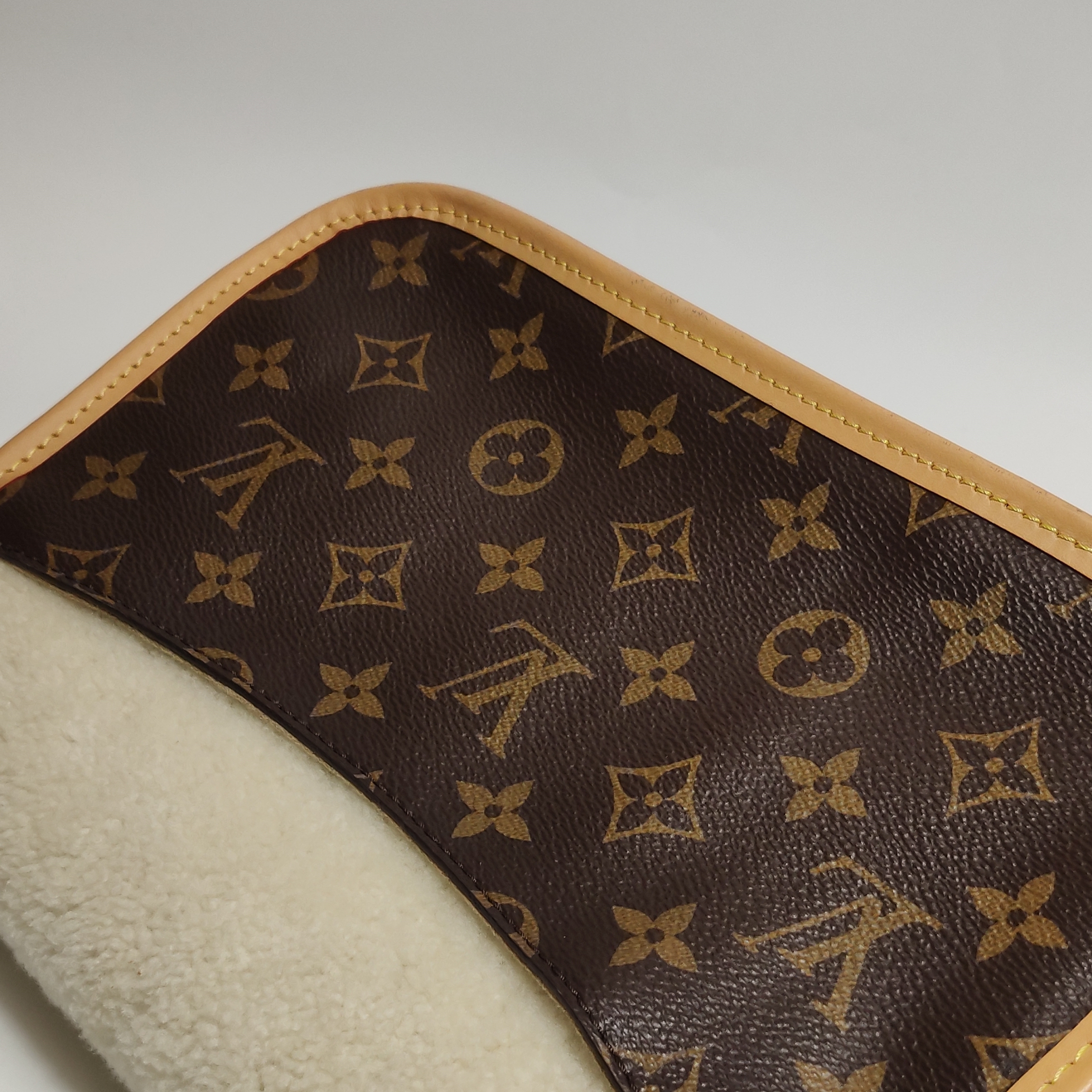 Louis Vuitton(LV) Diane NM Handbag Monogram Canvas — photo 8 of 17