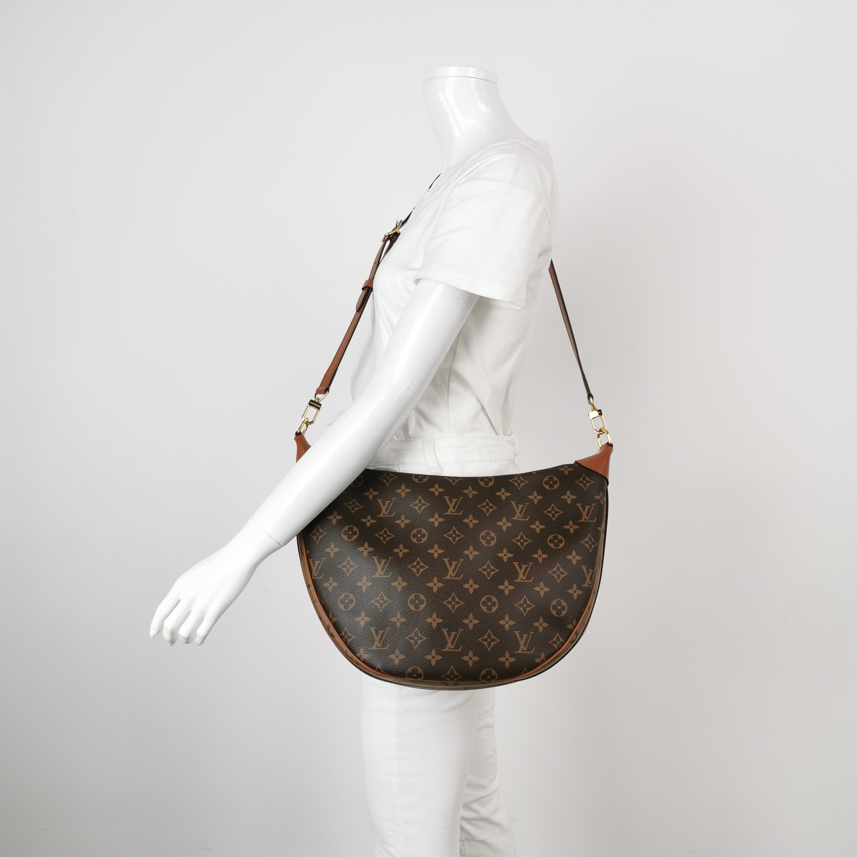 Louis Vuitton(LV) Loop Hobo Reverse Monogram Canvas — alternate view