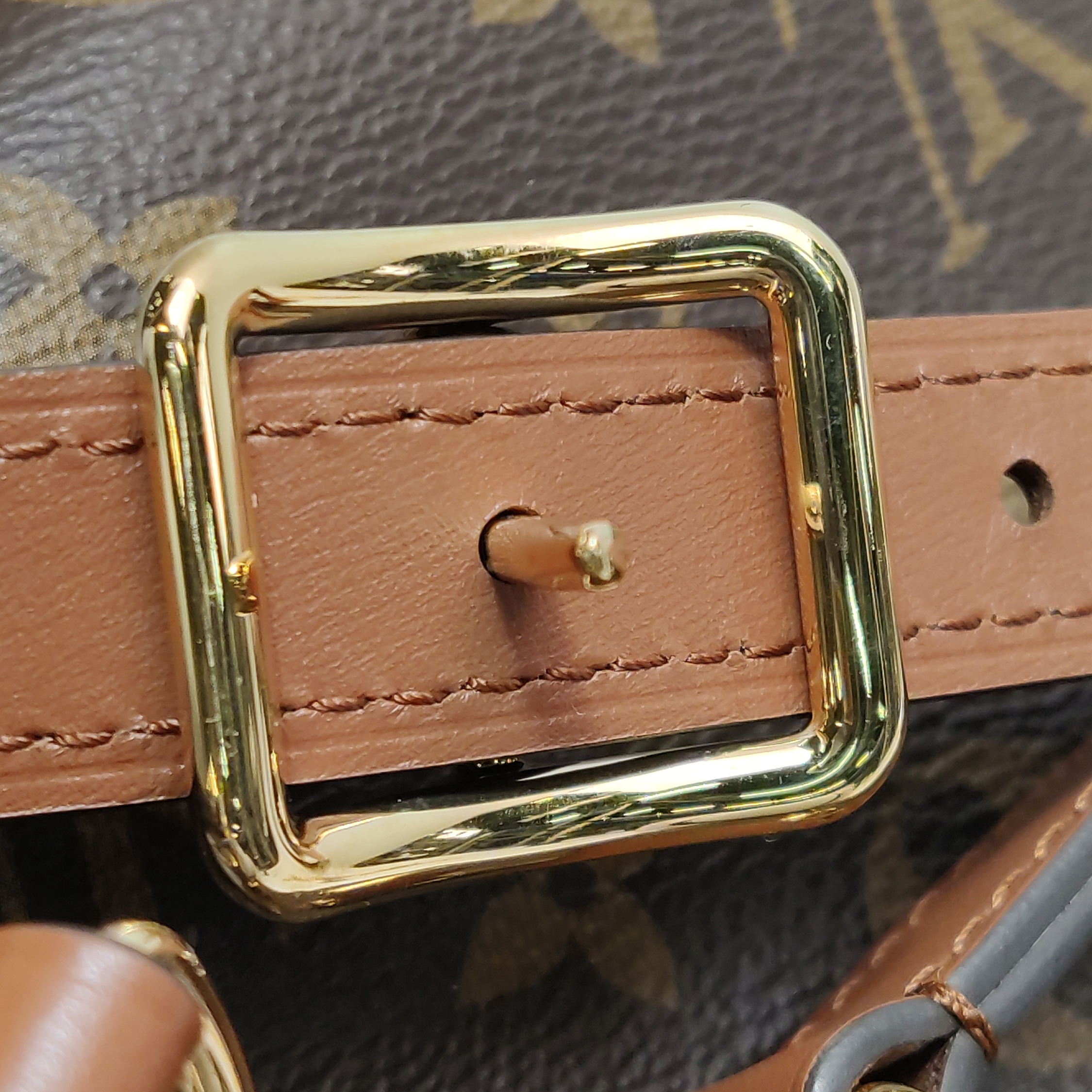 Louis Vuitton(LV) Loop Hobo Reverse Monogram Canvas — photo 11 of 14