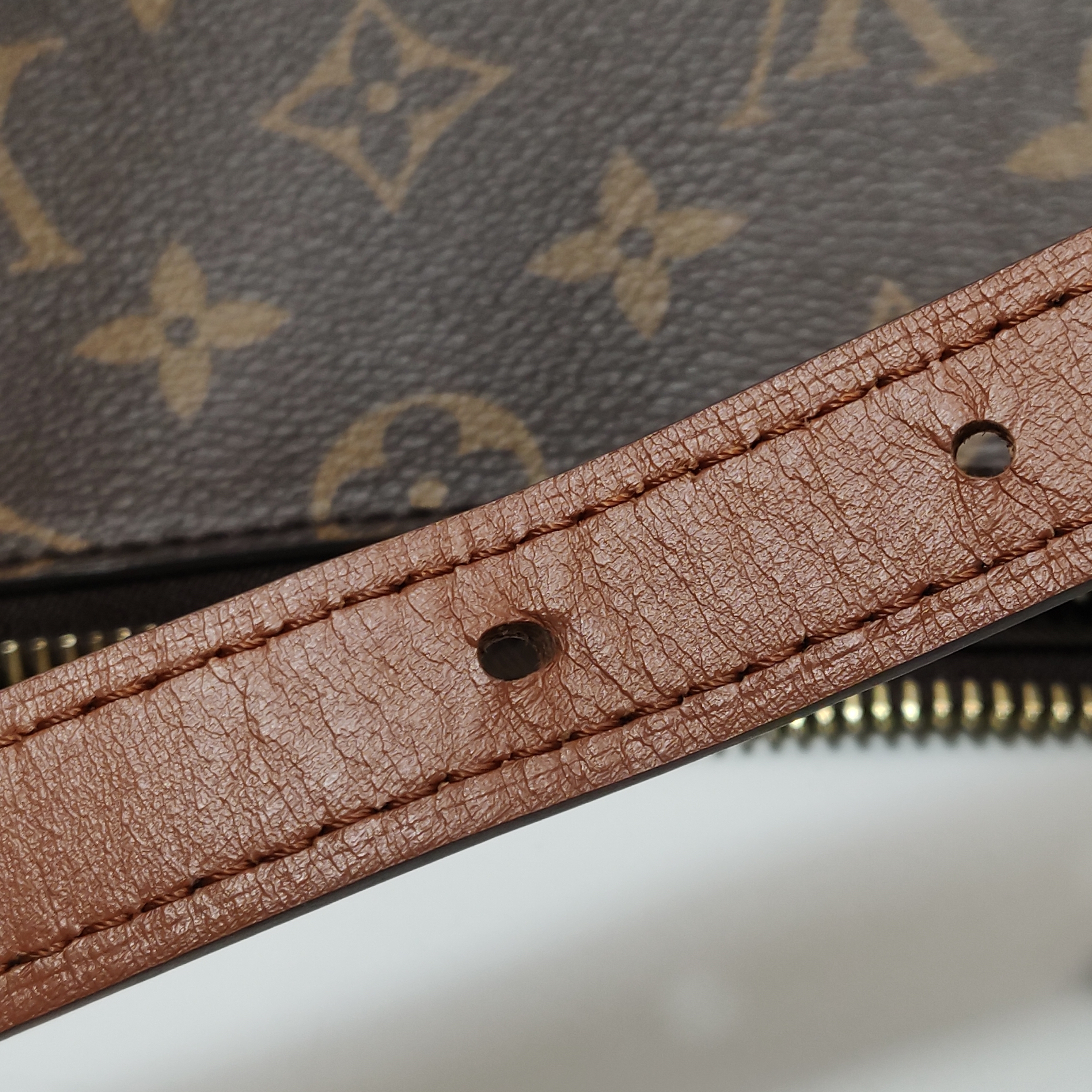 Louis Vuitton(LV) Loop Hobo Reverse Monogram Canvas — photo 14 of 14
