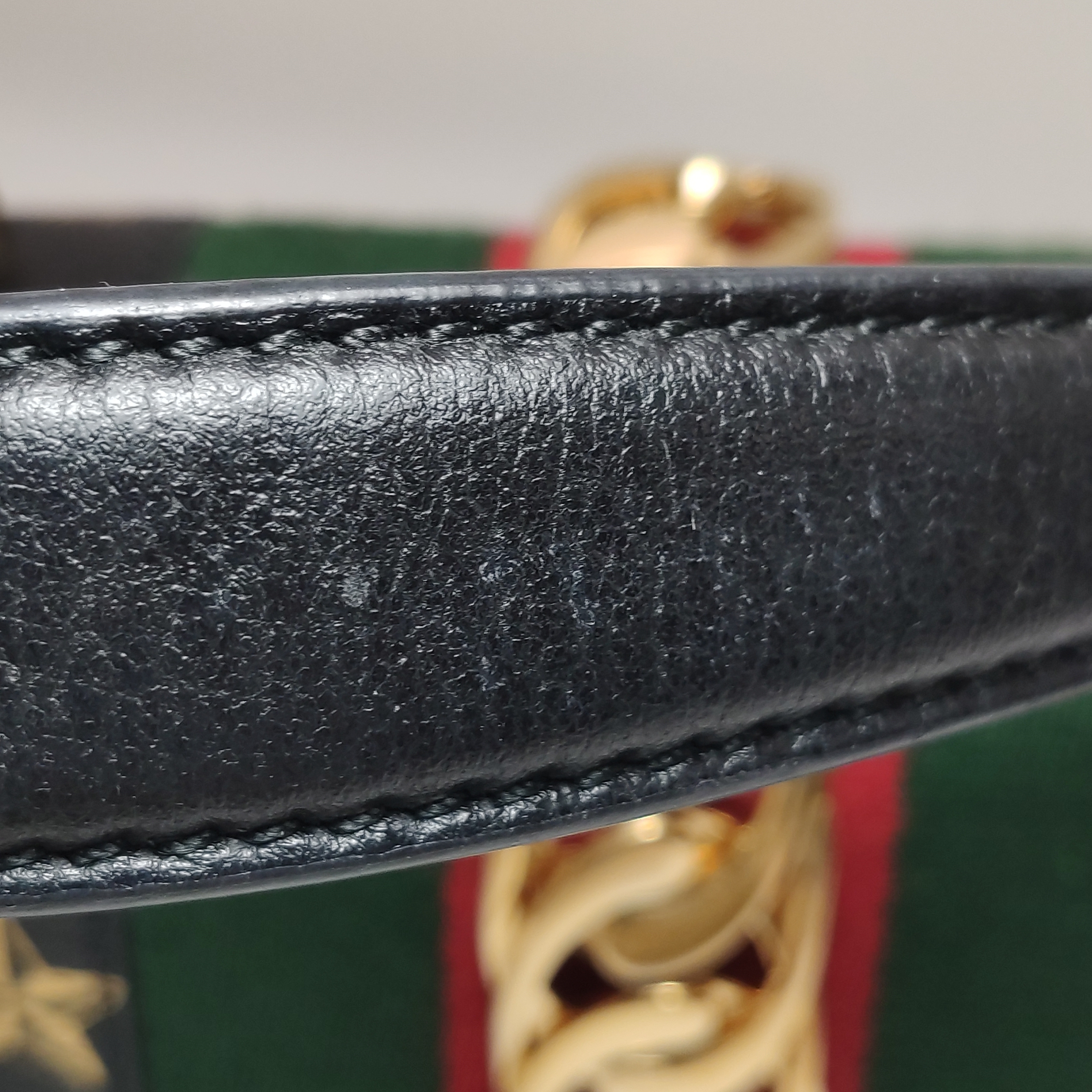 Gucci Sylvie Shoulder Bag Printed Leather Mini — photo 10 of 12