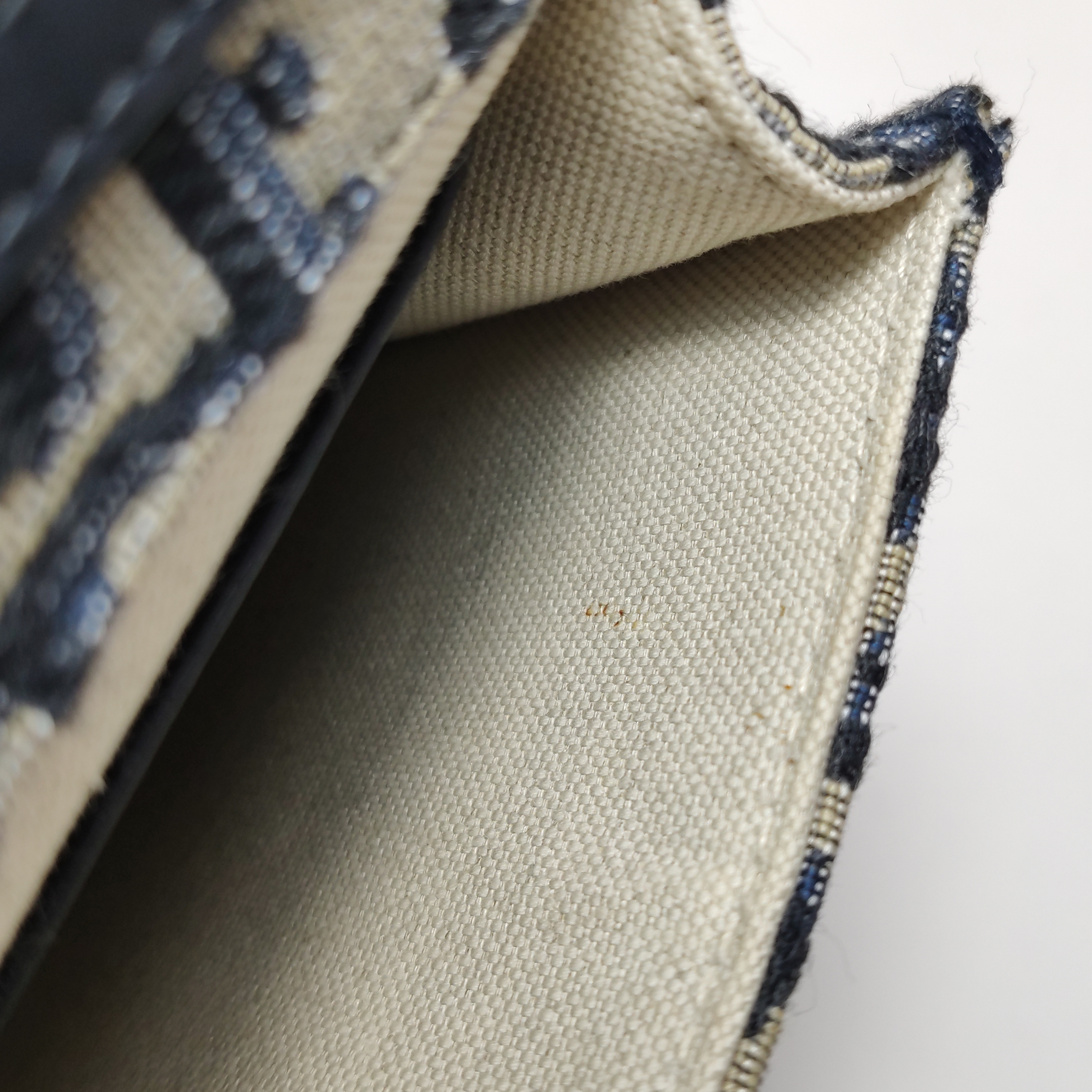  Christian Dior Vertical Saddle Chain Pouch Oblique Canvas — photo 8 of 12