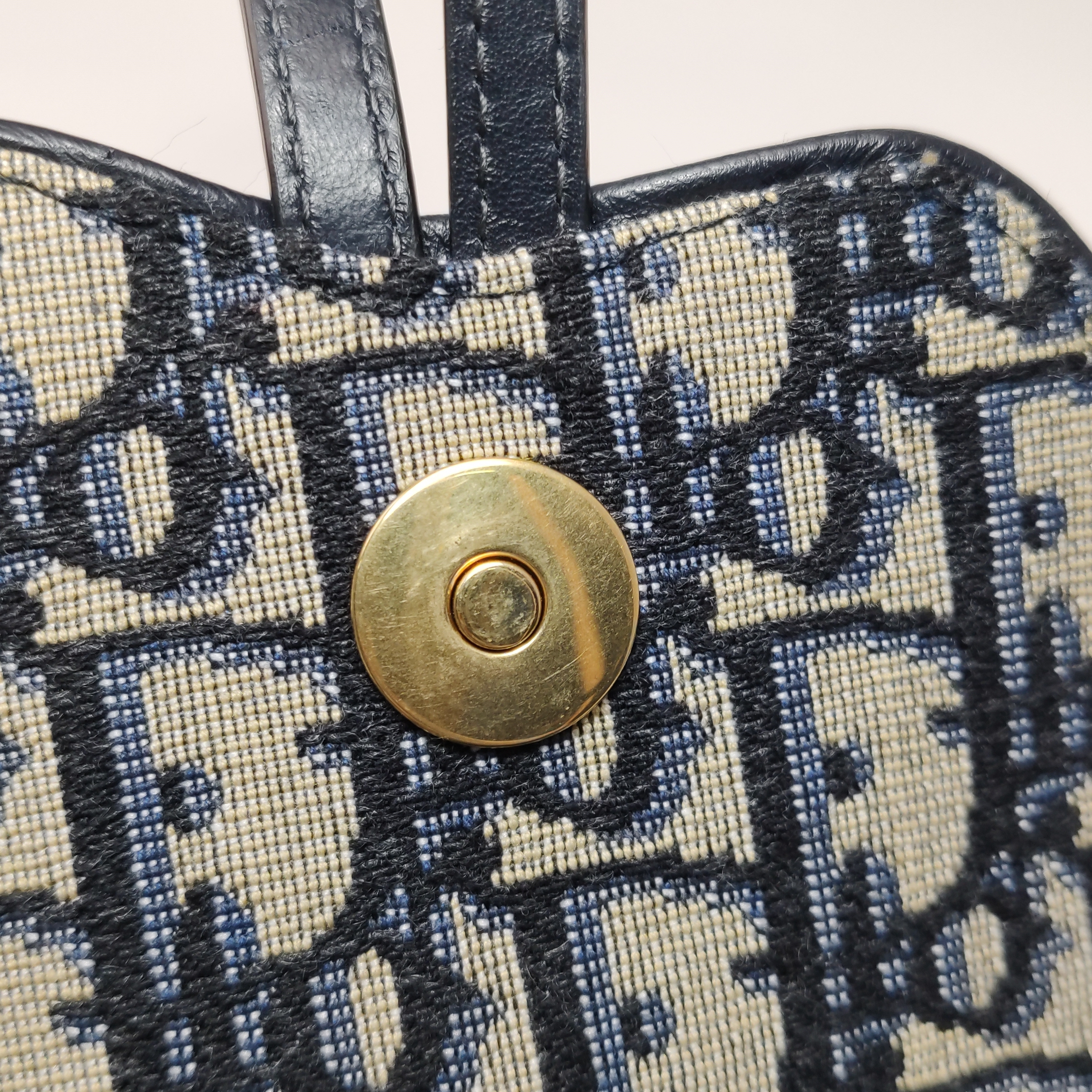  Christian Dior Vertical Saddle Chain Pouch Oblique Canvas — photo 11 of 12