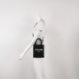 Celine Vertical Cabas Tote Triomphe Coated Canvas Mini — thumbnail 2