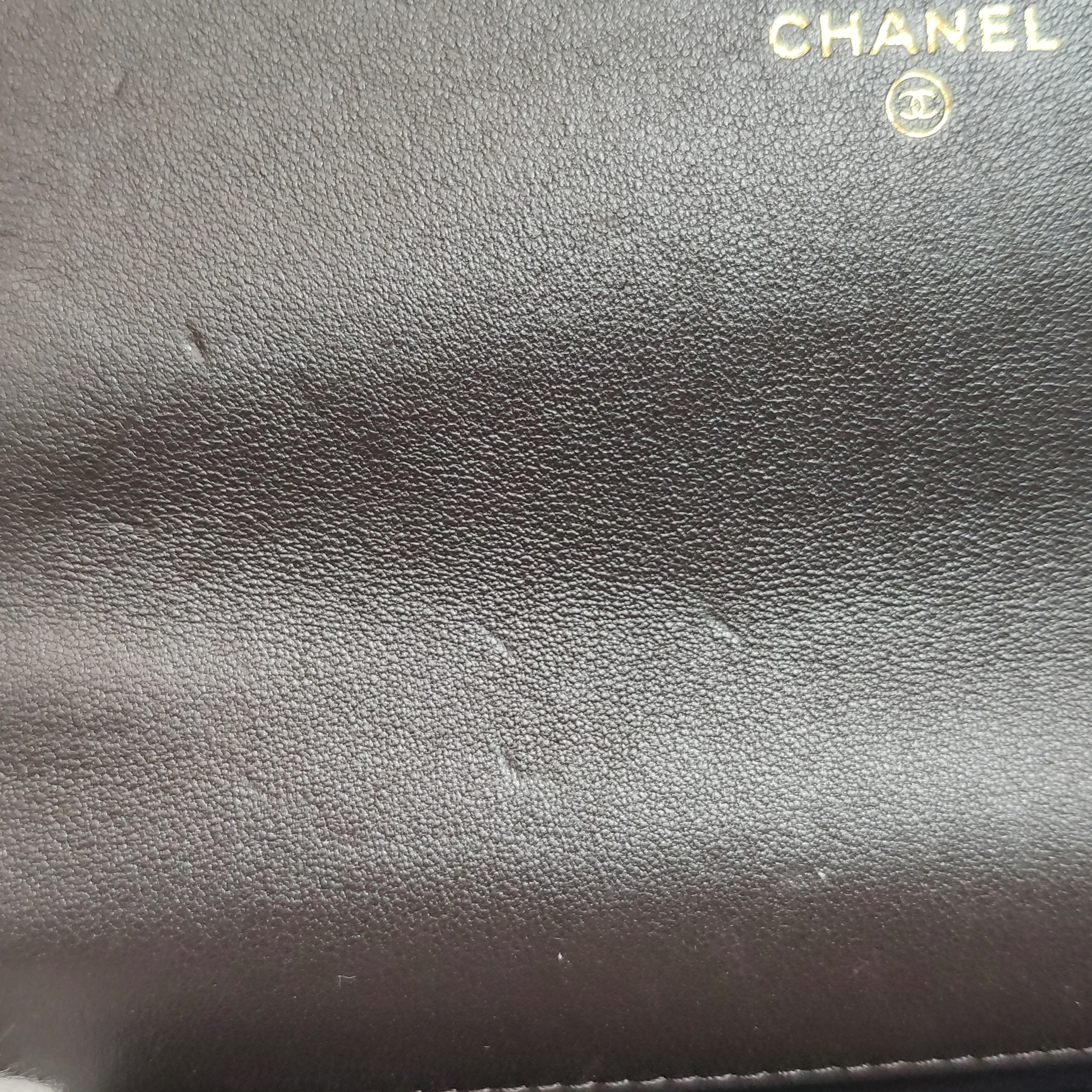 Chanel 19 Wallet on Chain Quilted Goatskin — photo 8 of 13
