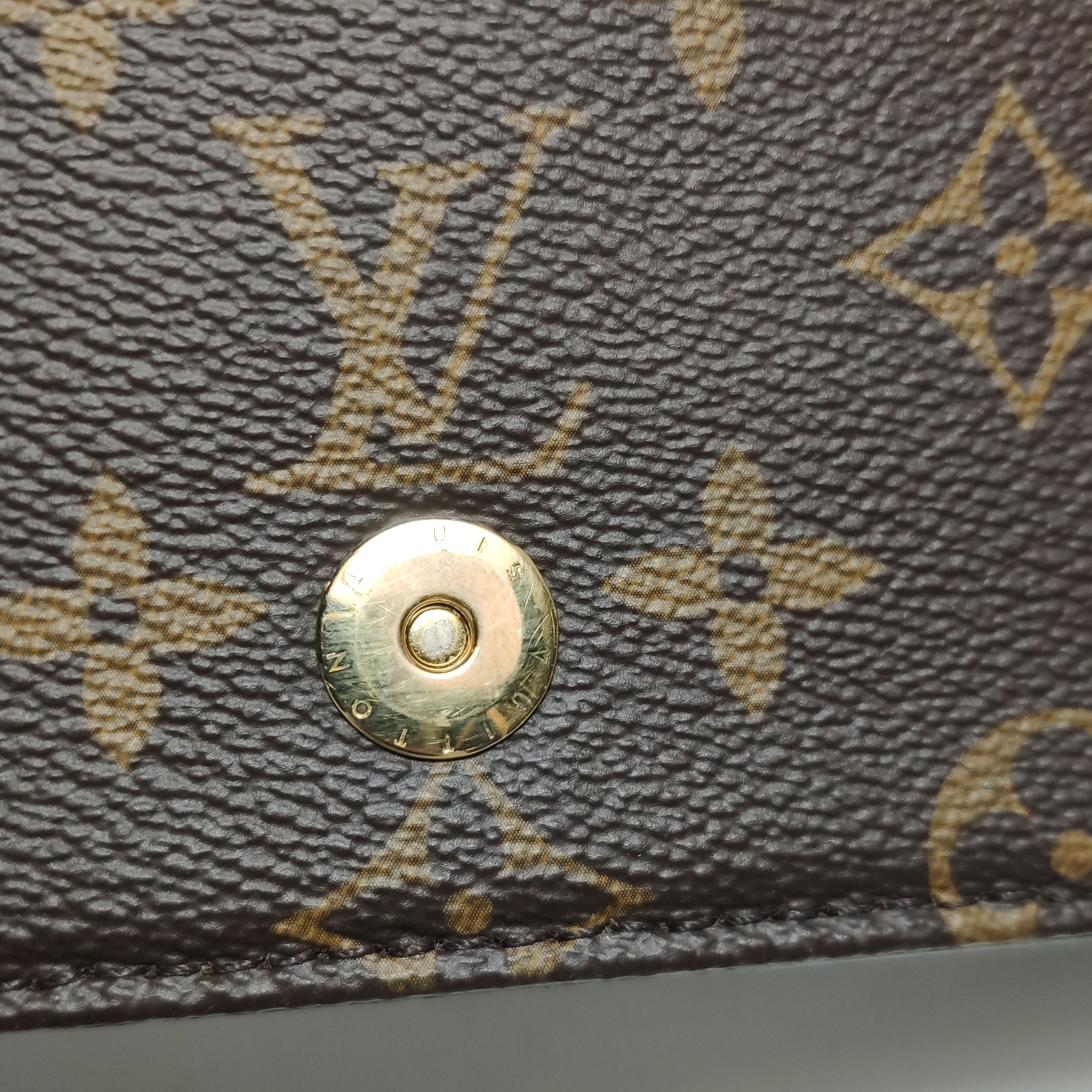 Louis Vuitton(LV) Lily Wallet on Chain Monogram Canvas — photo 9 of 13