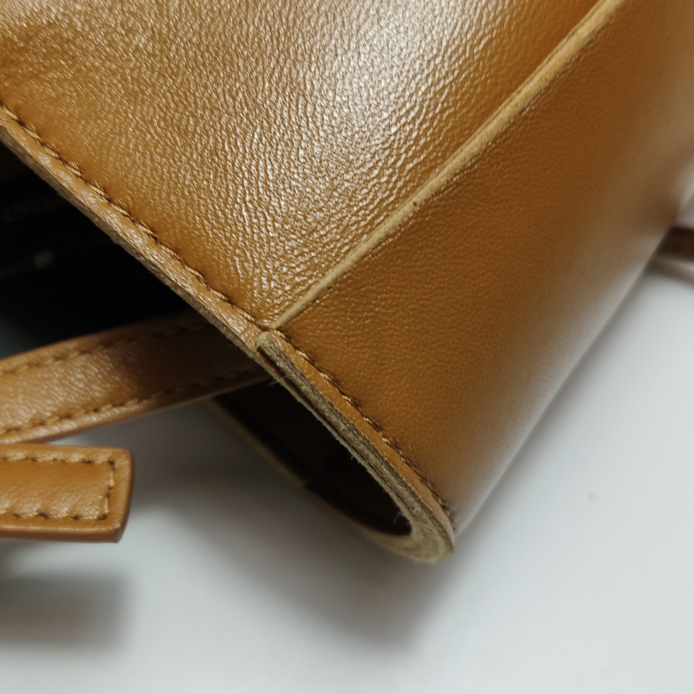 Bottega Veneta Arco Tote Maxi Intrecciato Leather Candy — photo 10 of 14
